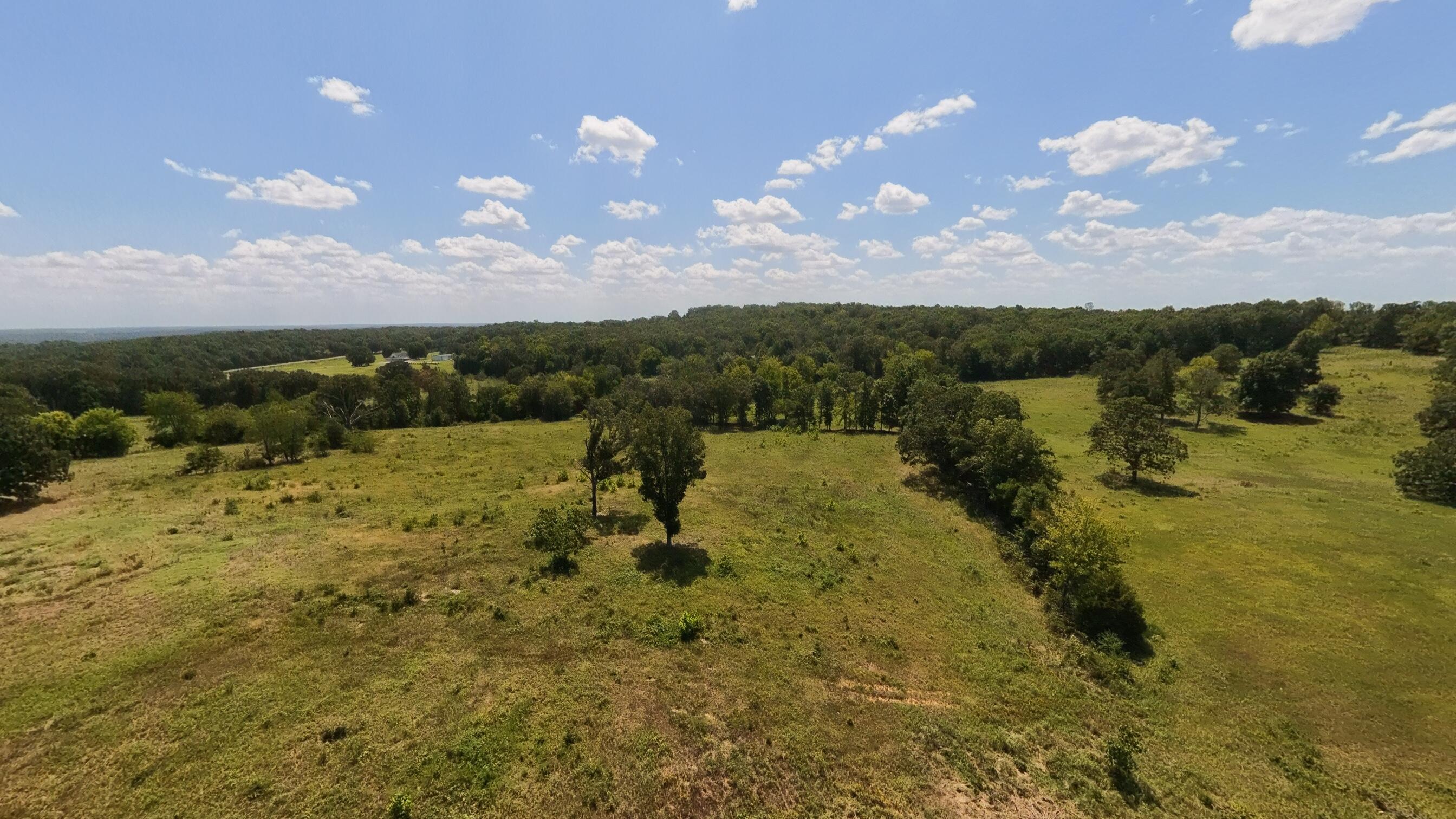 Photo 8 - Land for sale – 000  Bamber Street  Mammoth Spring, AR
