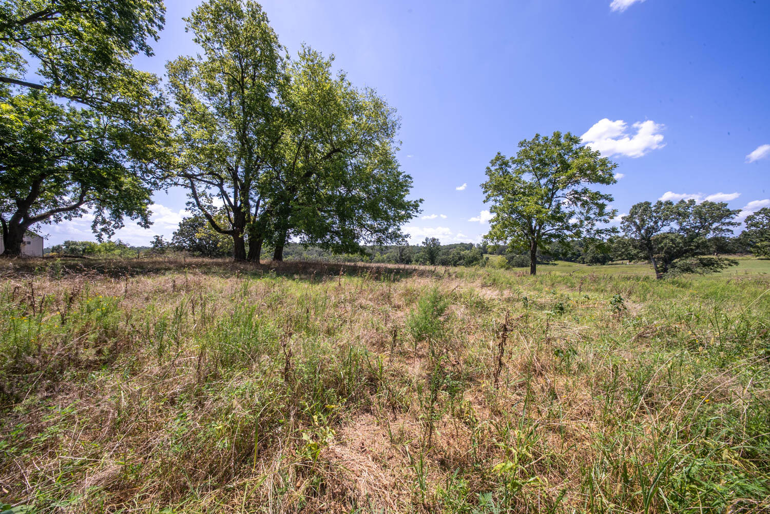 Photo 37 - Land for sale – 000  Bamber Street  Mammoth Spring, AR