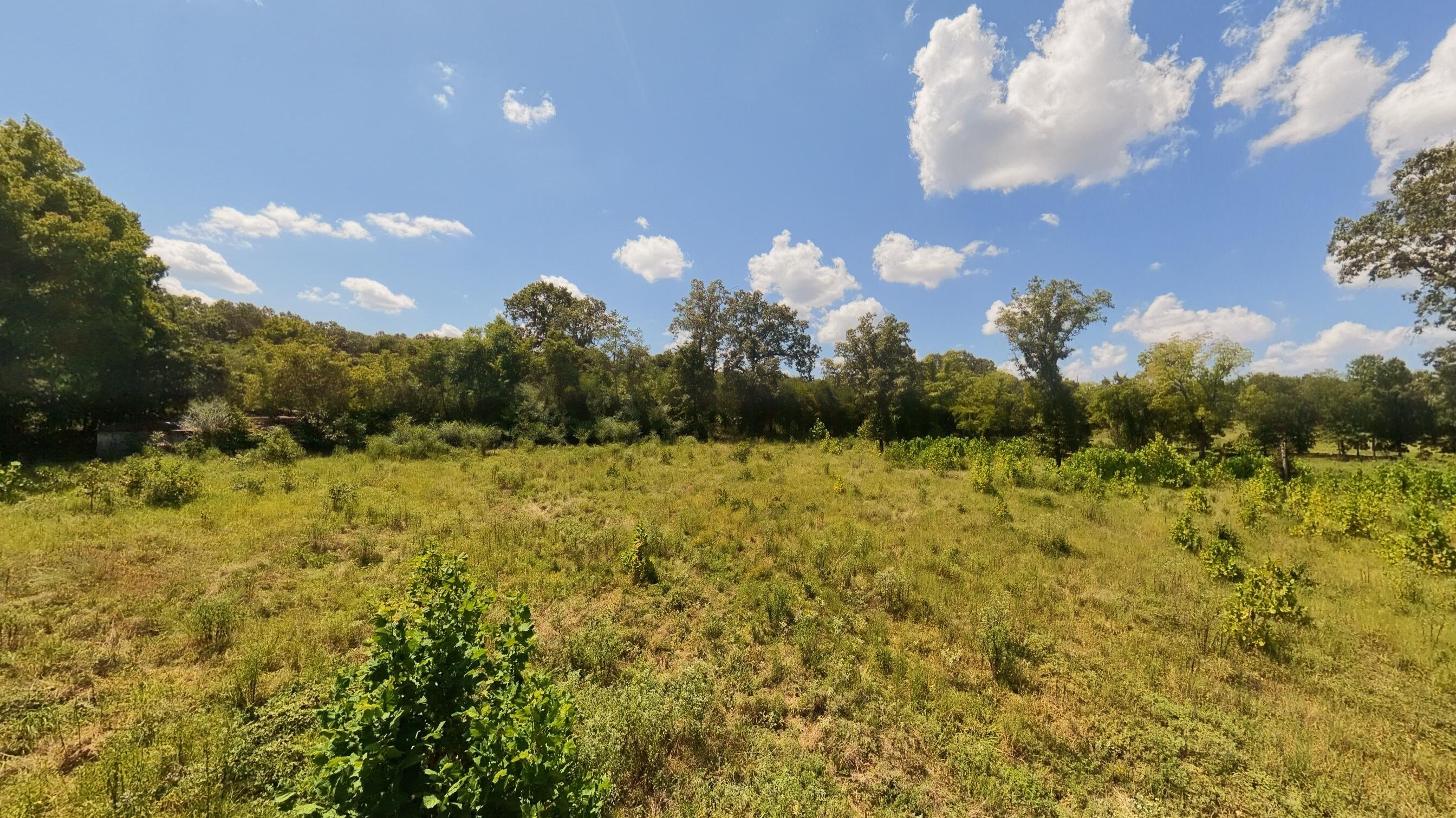 Photo 27 - Land for sale – 000  Bamber Street  Mammoth Spring, AR