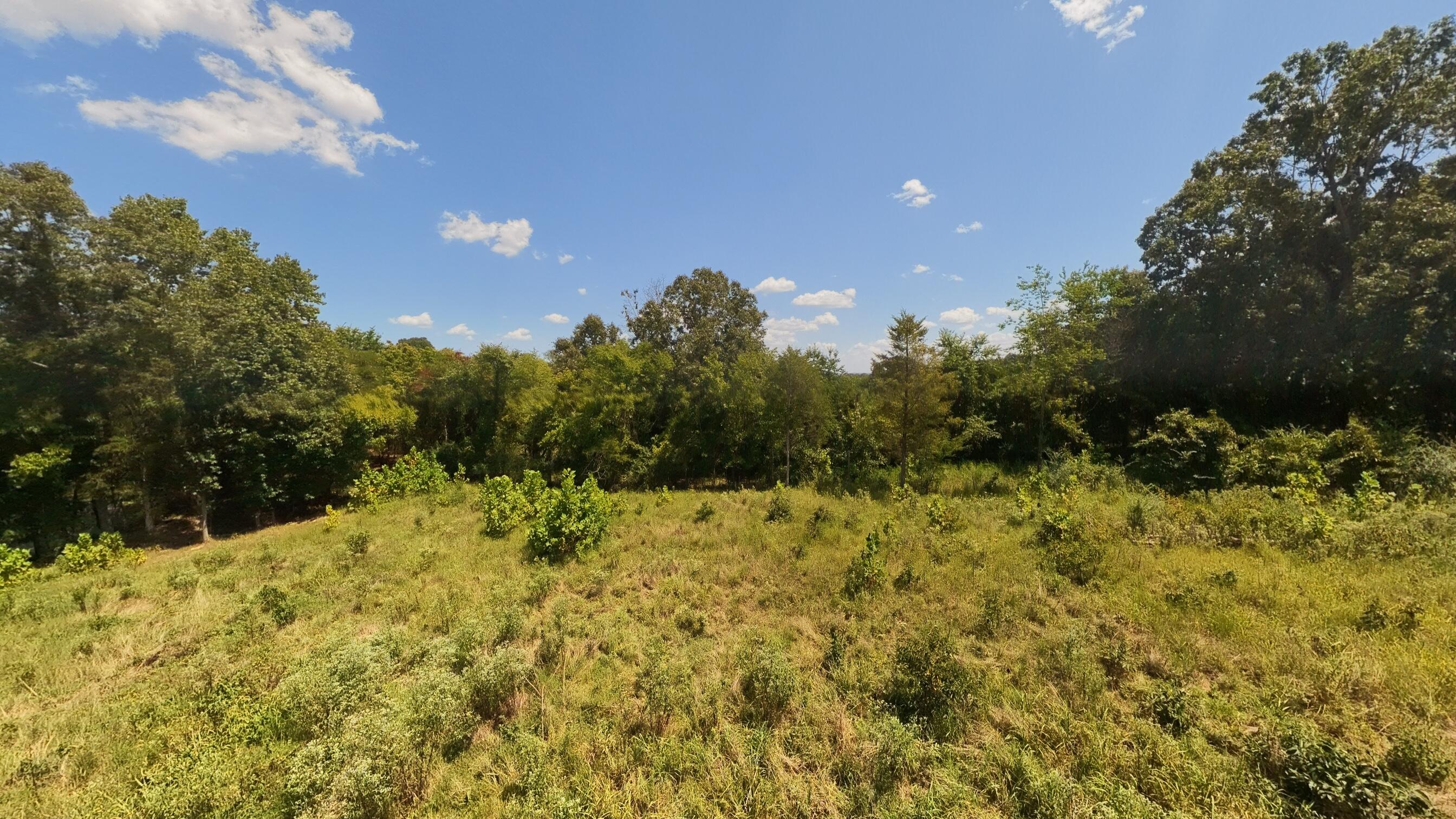 Photo 25 - Land for sale – 000  Bamber Street  Mammoth Spring, AR