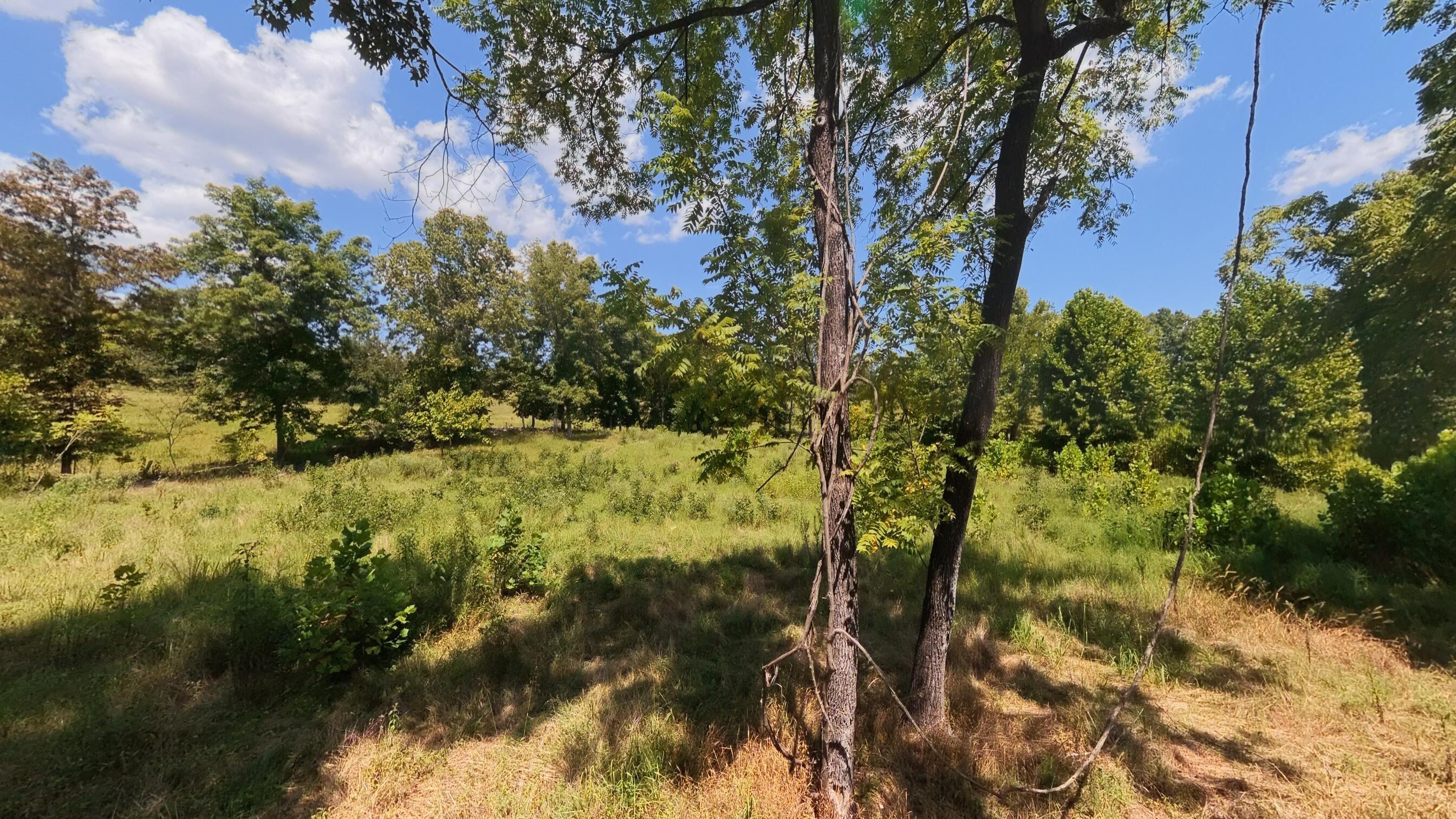 Photo 23 - Land for sale – 000  Bamber Street  Mammoth Spring, AR