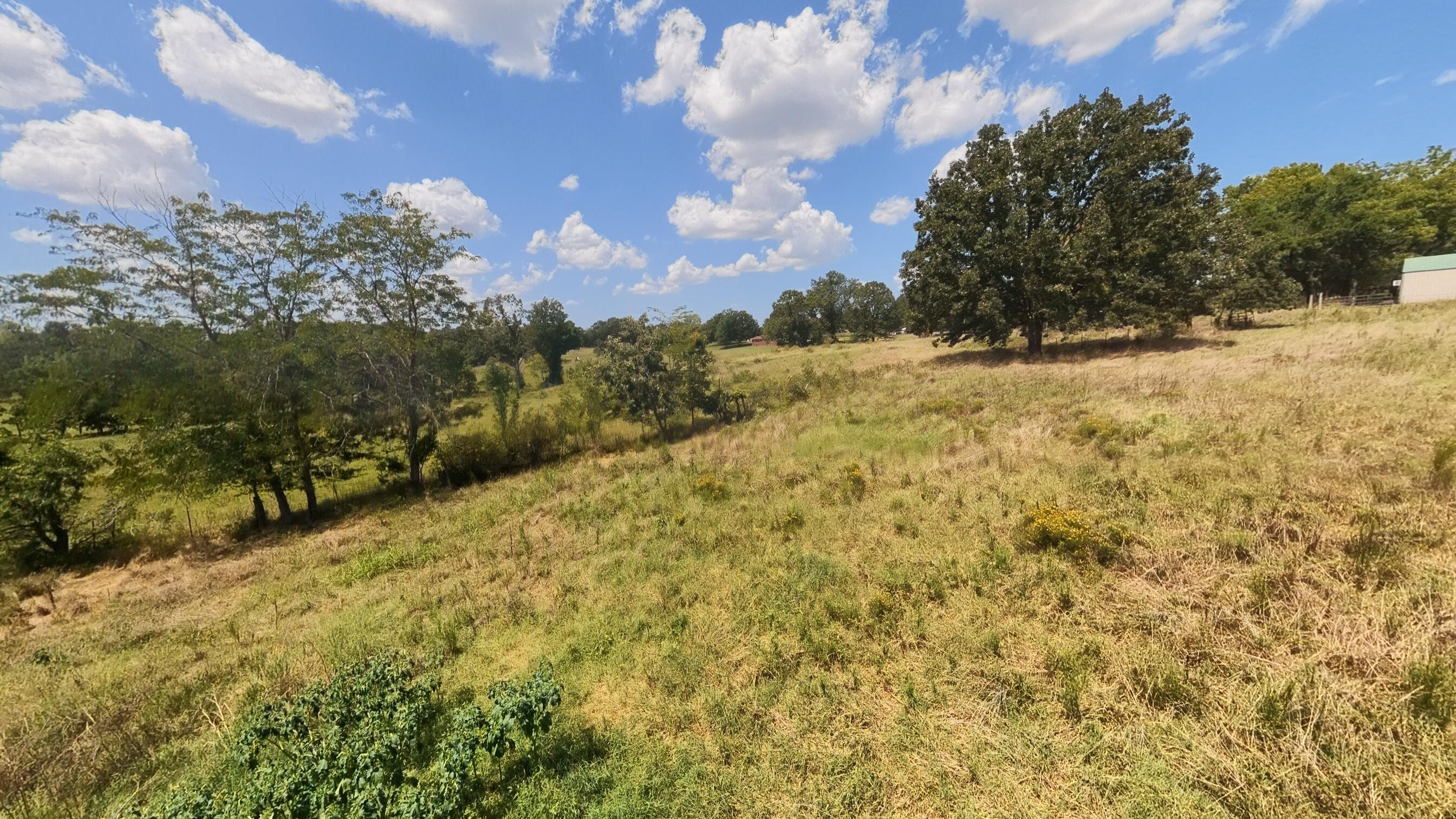 Photo 30 - Land for sale – 000  Bamber Street  Mammoth Spring, AR