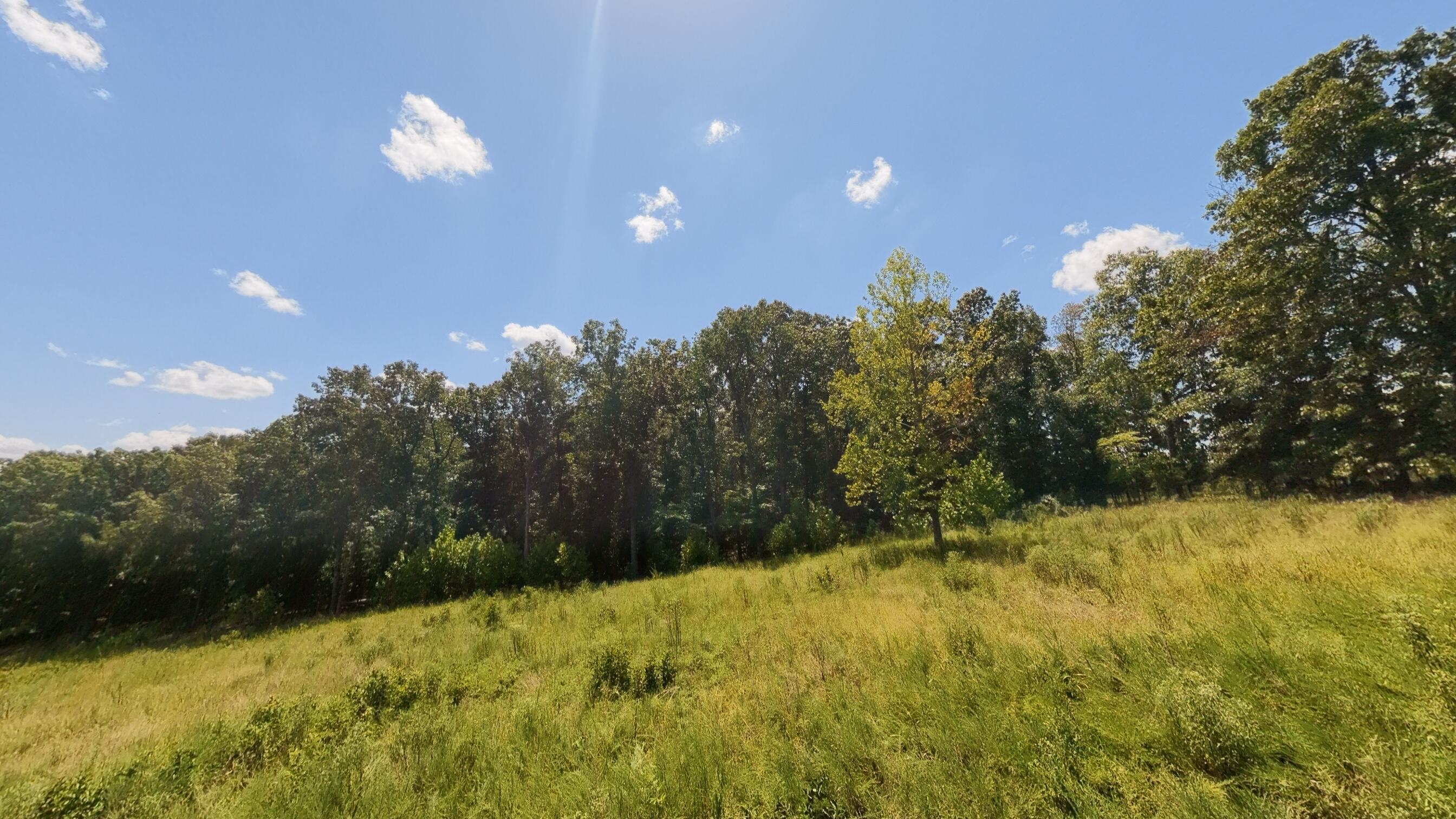 Photo 16 - Land for sale – 000  Bamber Street  Mammoth Spring, AR