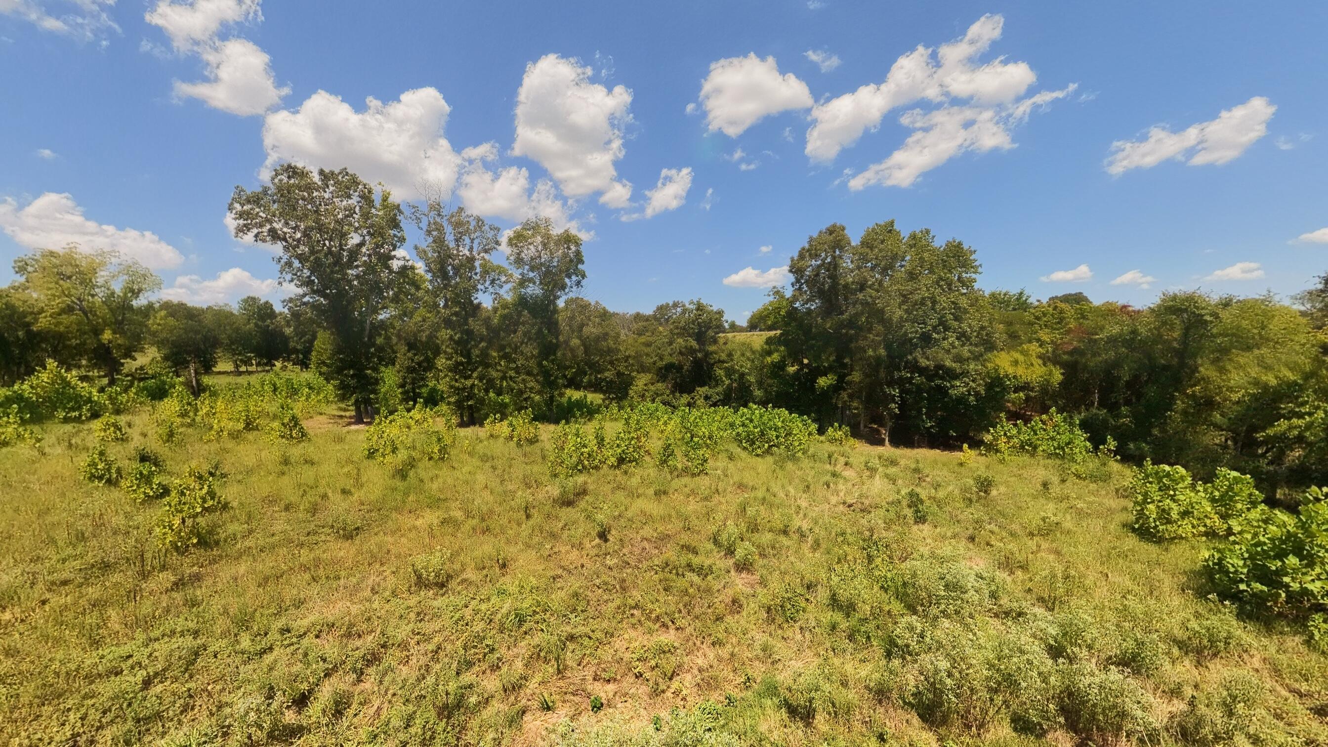 Photo 26 - Land for sale – 000  Bamber Street  Mammoth Spring, AR