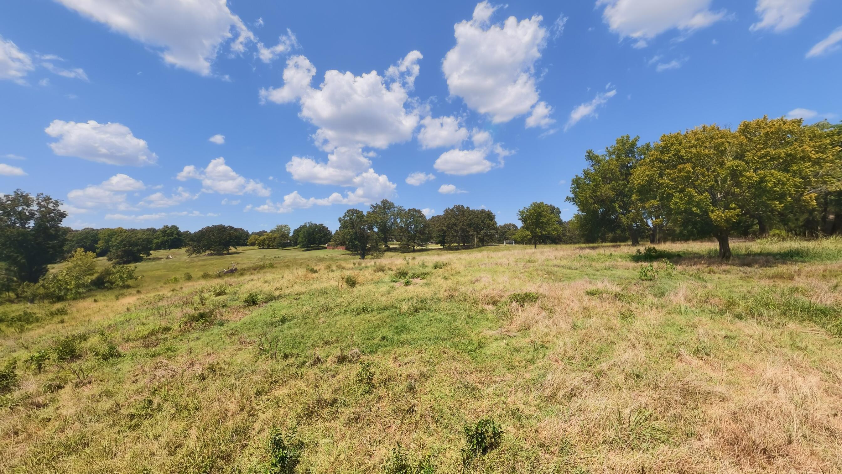 Photo 31 - Land for sale – 000  Bamber Street  Mammoth Spring, AR