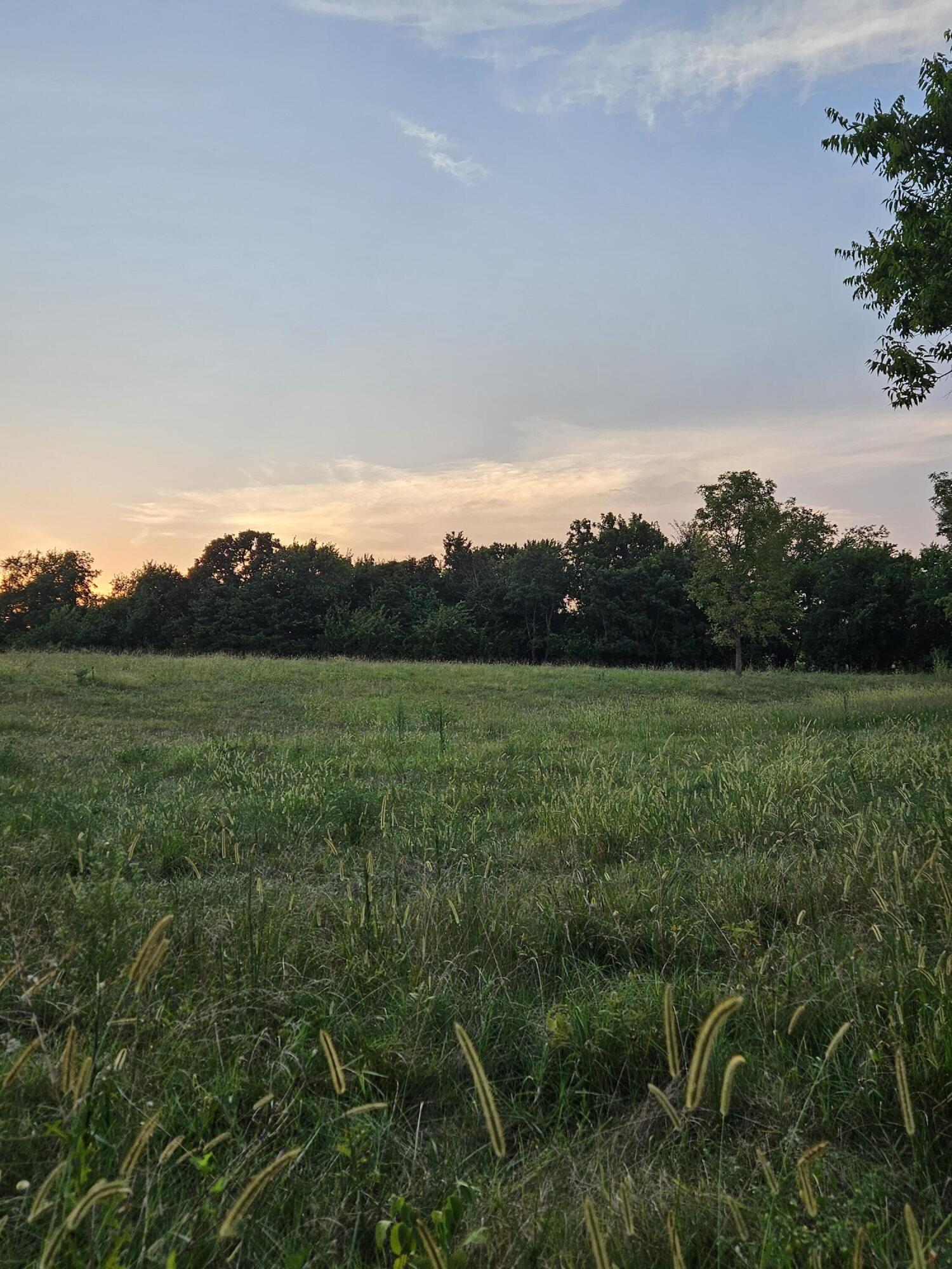 Photo 5 - Land for sale – 000  Lawrence 1100   Mt Vernon, MO