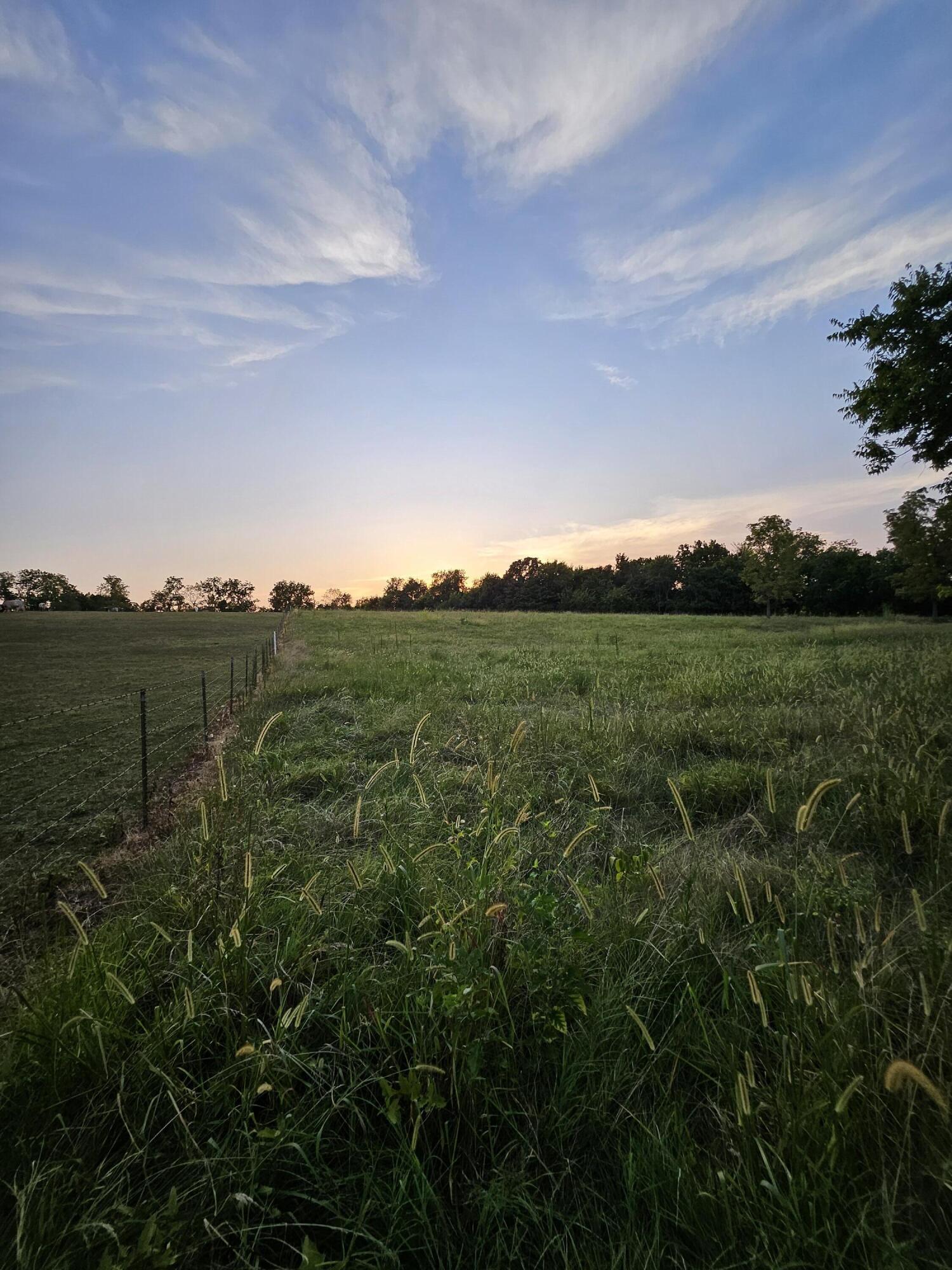 Photo 4 - Land for sale – 000  Lawrence 1100   Mt Vernon, MO