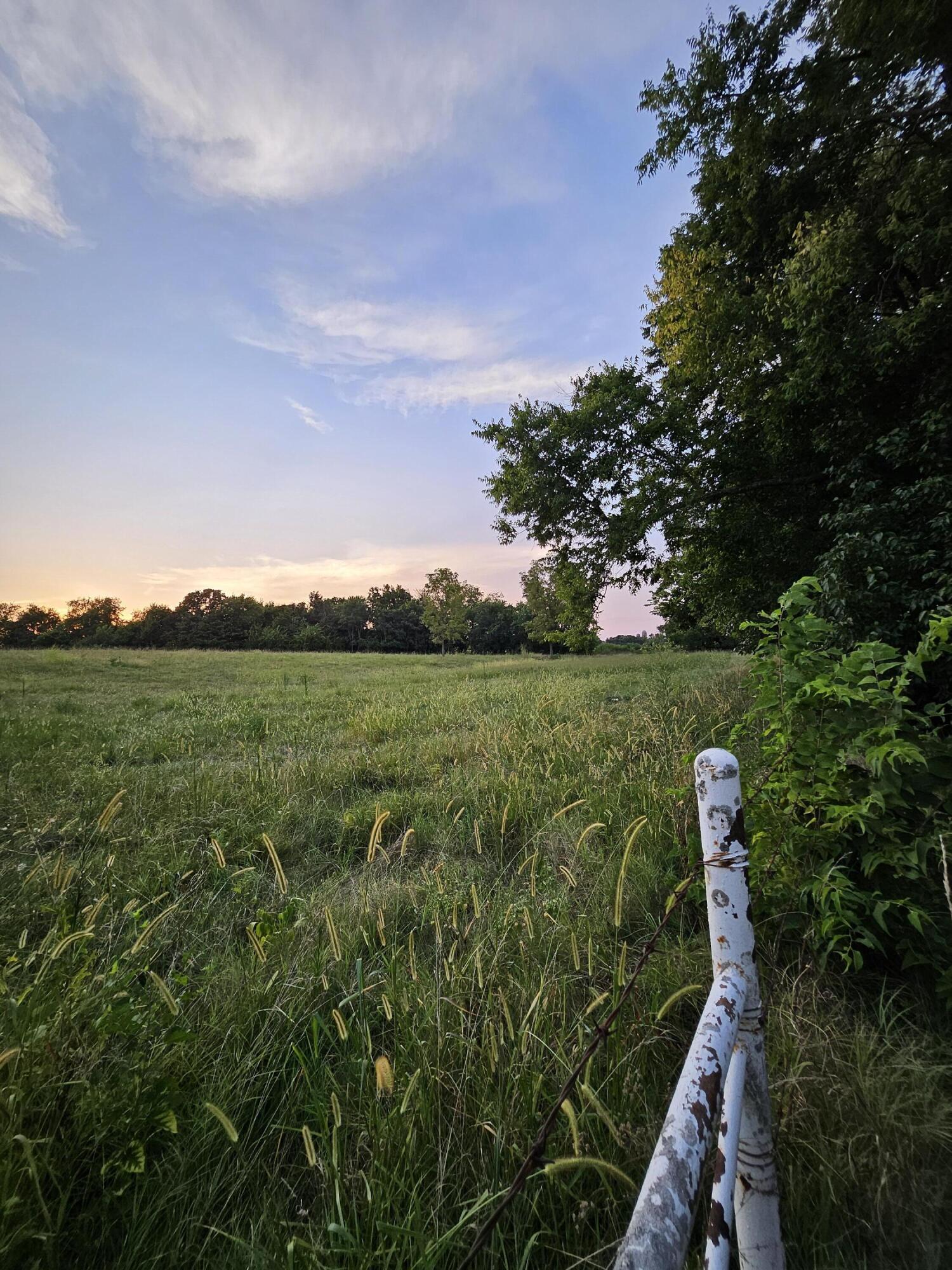 Photo 3 - Land for sale – 000  Lawrence 1100   Mt Vernon, MO
