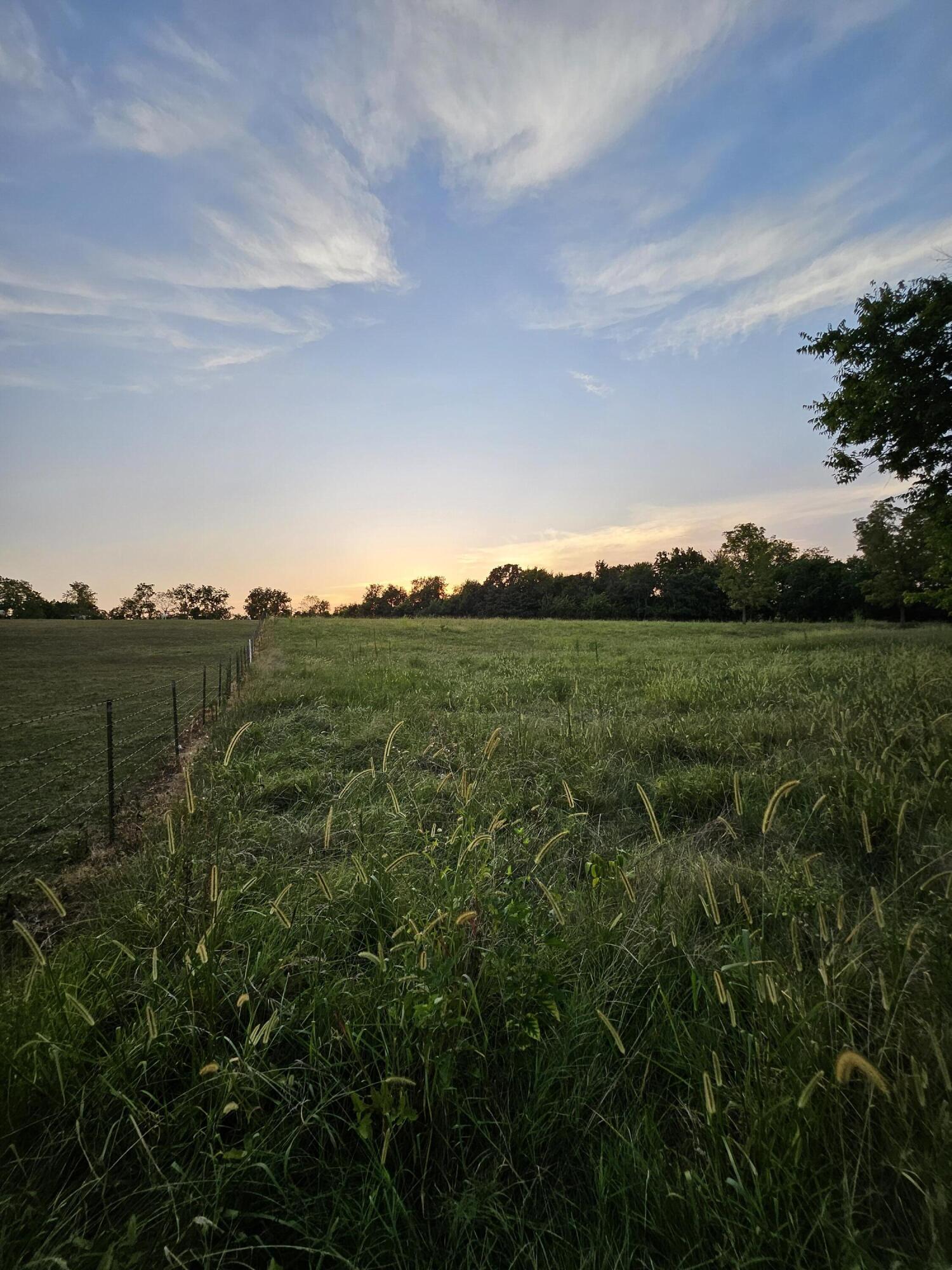 Photo 7 - Land for sale – 000  Lawrence 1100   Mt Vernon, MO