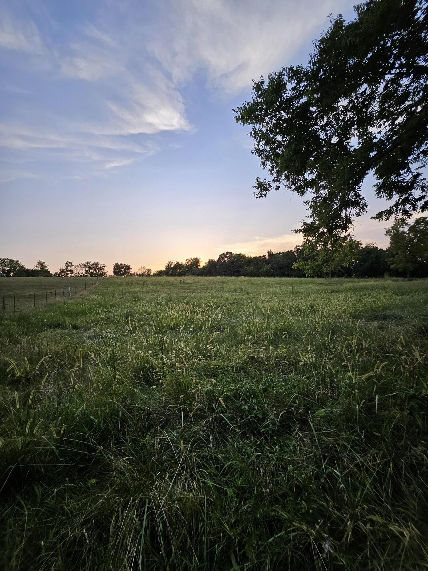 Photo 8 - Land for sale – 000  Lawrence 1100   Mt Vernon, MO