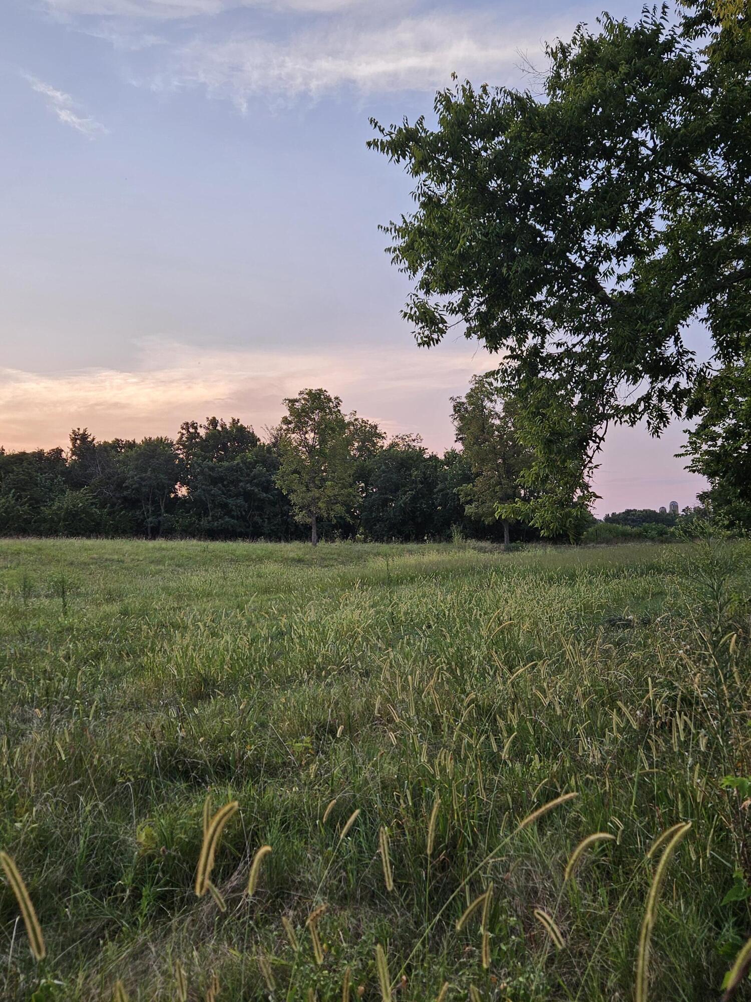 Photo 6 - Land for sale – 000  Lawrence 1100   Mt Vernon, MO