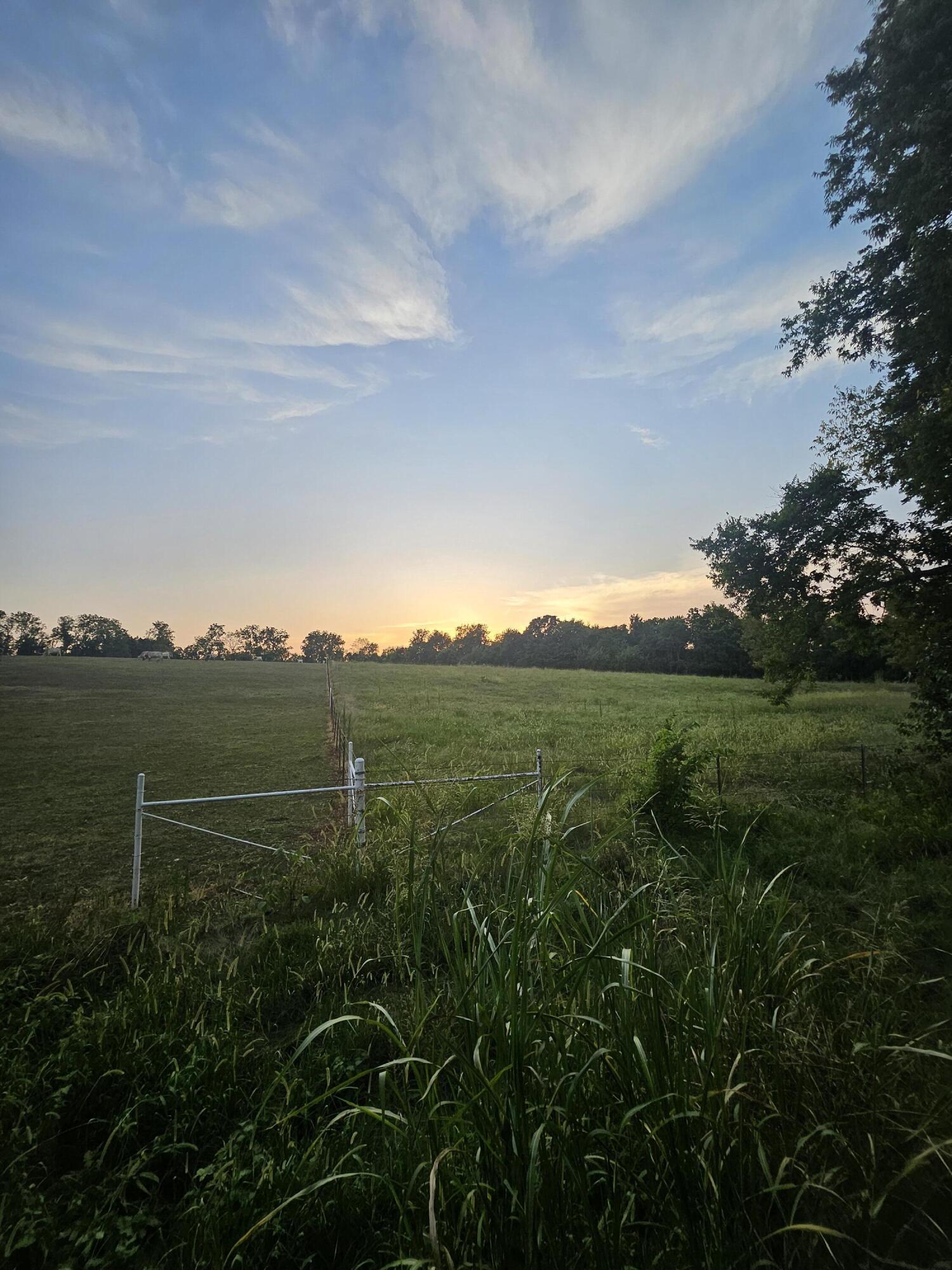 Photo 2 - Land for sale – 000  Lawrence 1100   Mt Vernon, MO