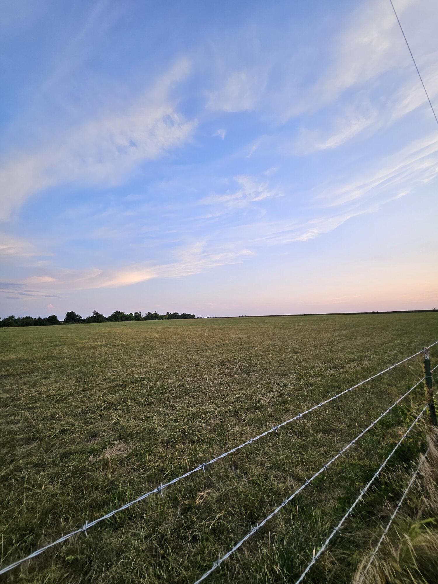 Photo 4 - Land for sale – 000  Lawrence 2160   Mt Vernon, MO
