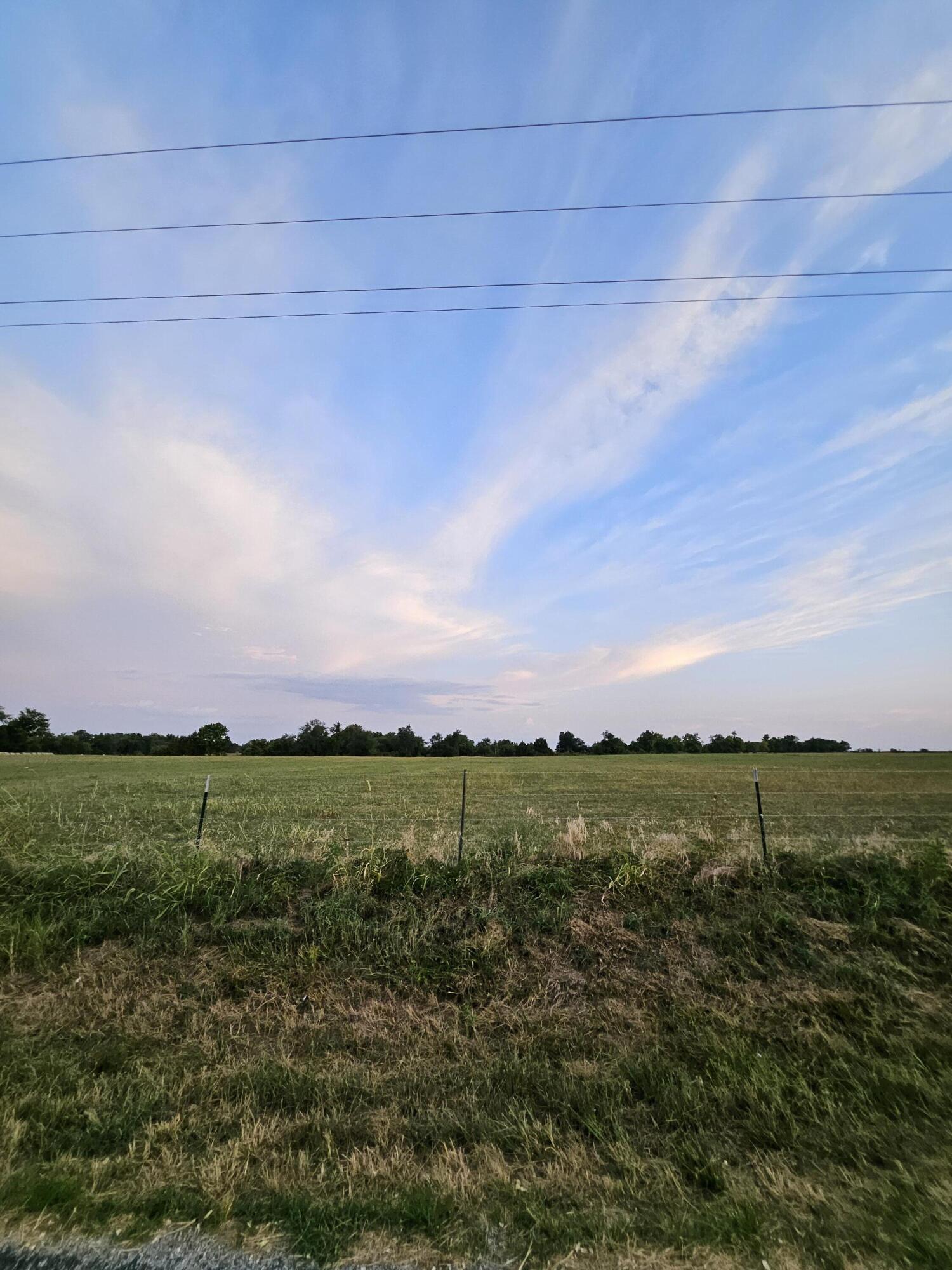 Photo 6 - Land for sale – 000  Lawrence 2160   Mt Vernon, MO