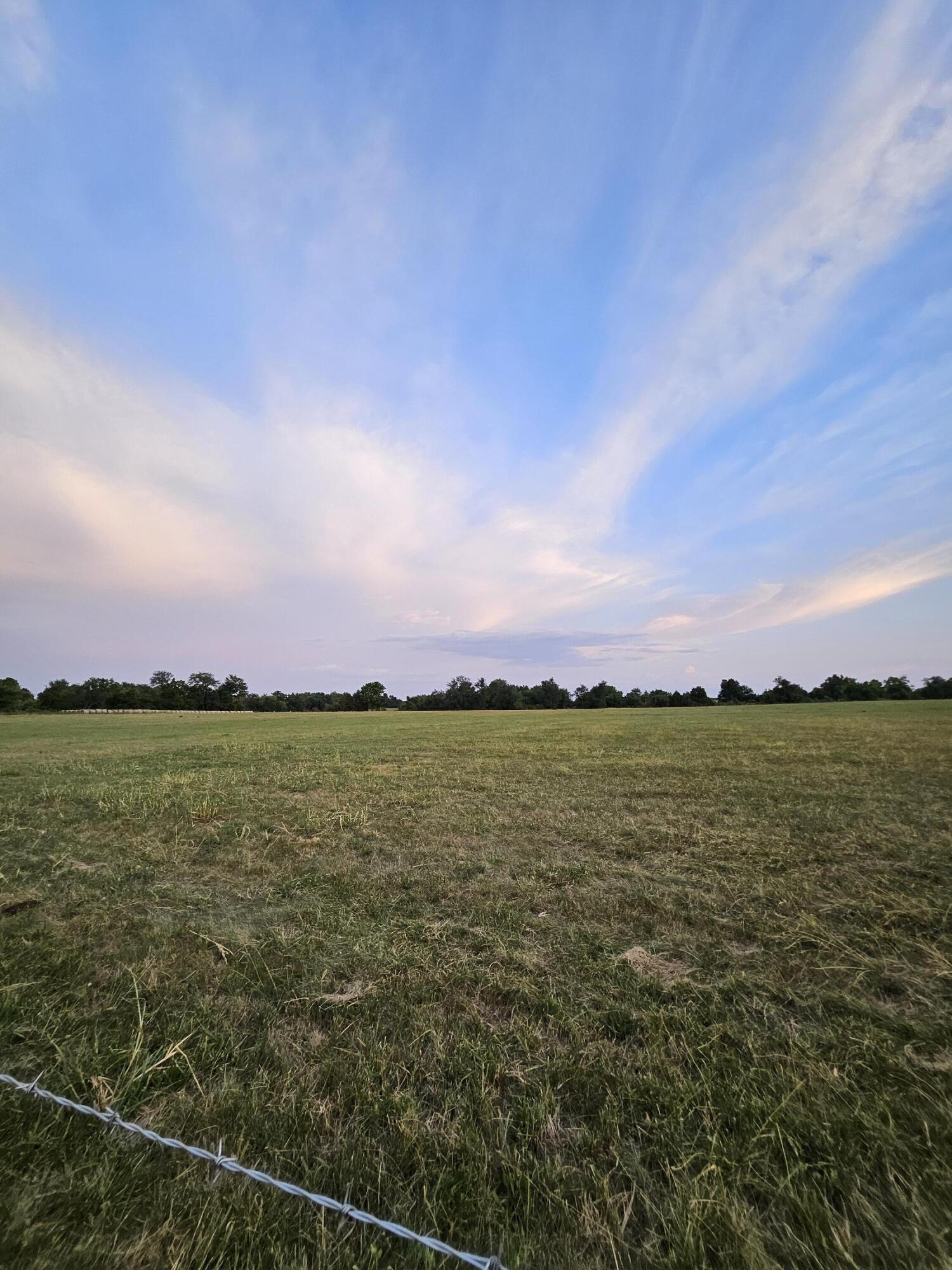 Photo 3 - Land for sale – 000  Lawrence 2160   Mt Vernon, MO