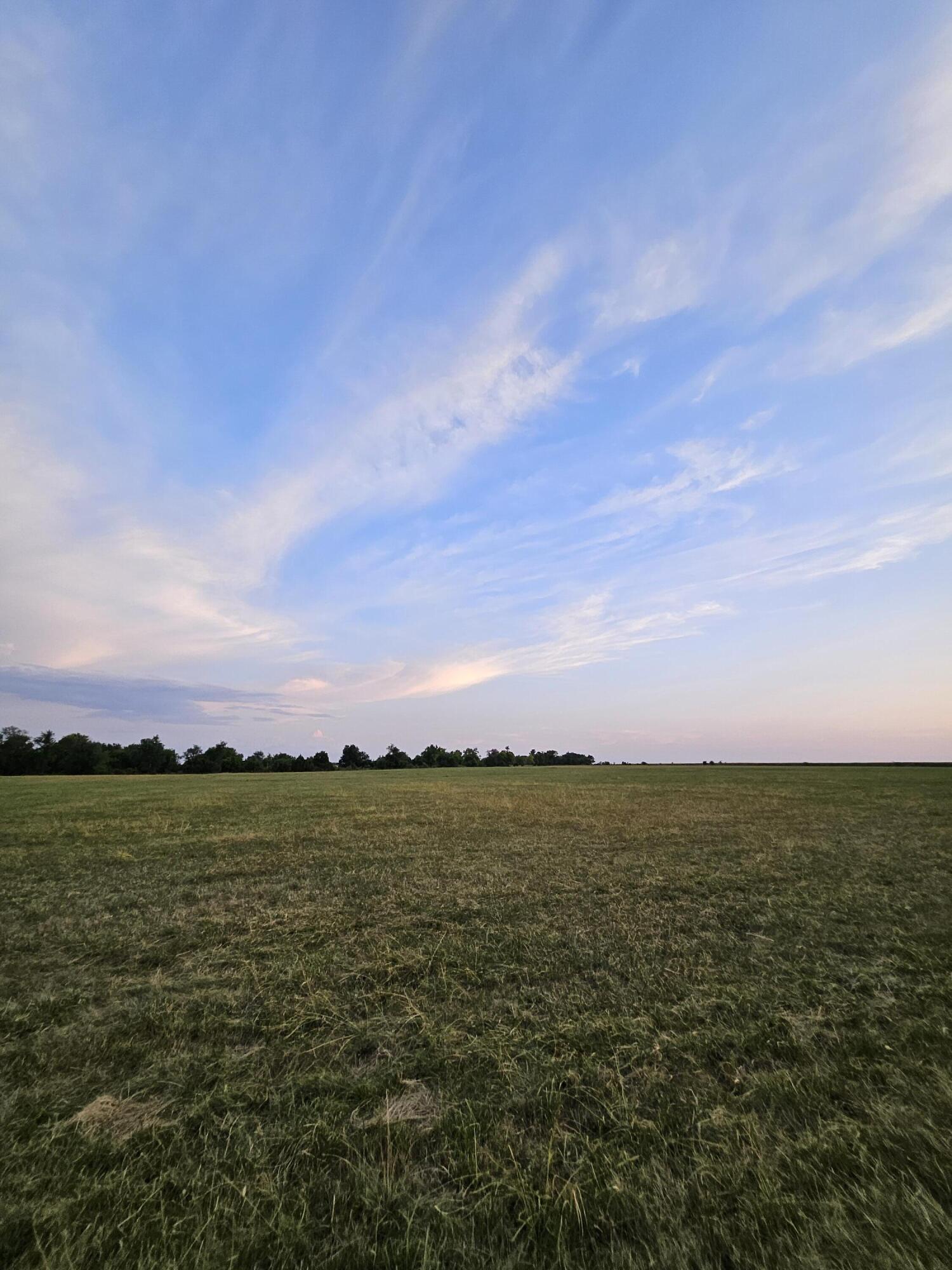 Photo 2 - Land for sale – 000  Lawrence 2160   Mt Vernon, MO