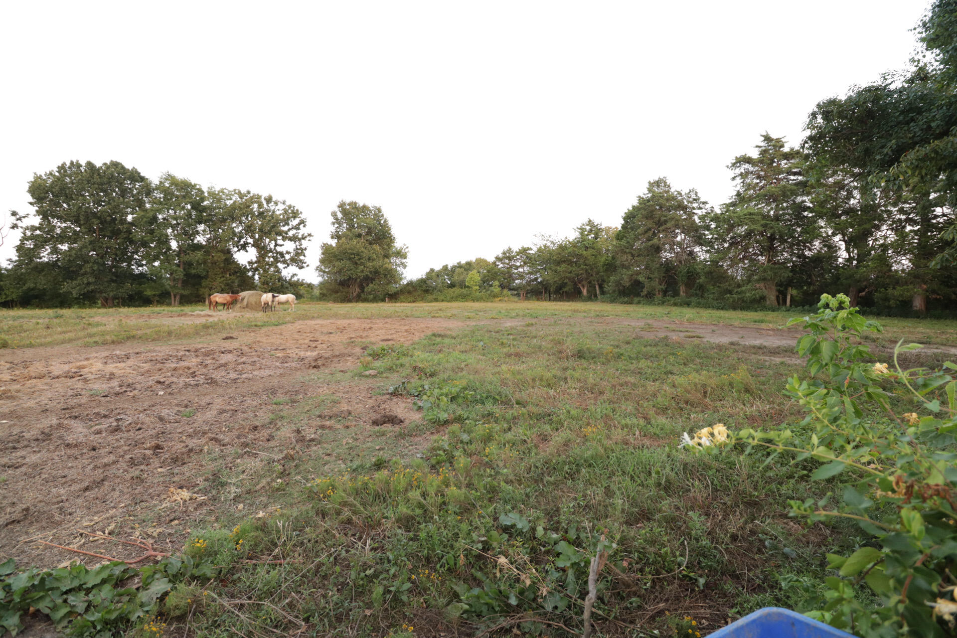 Photo 80 - Residential for sale – 418  Alma Street  Taneyville, MO