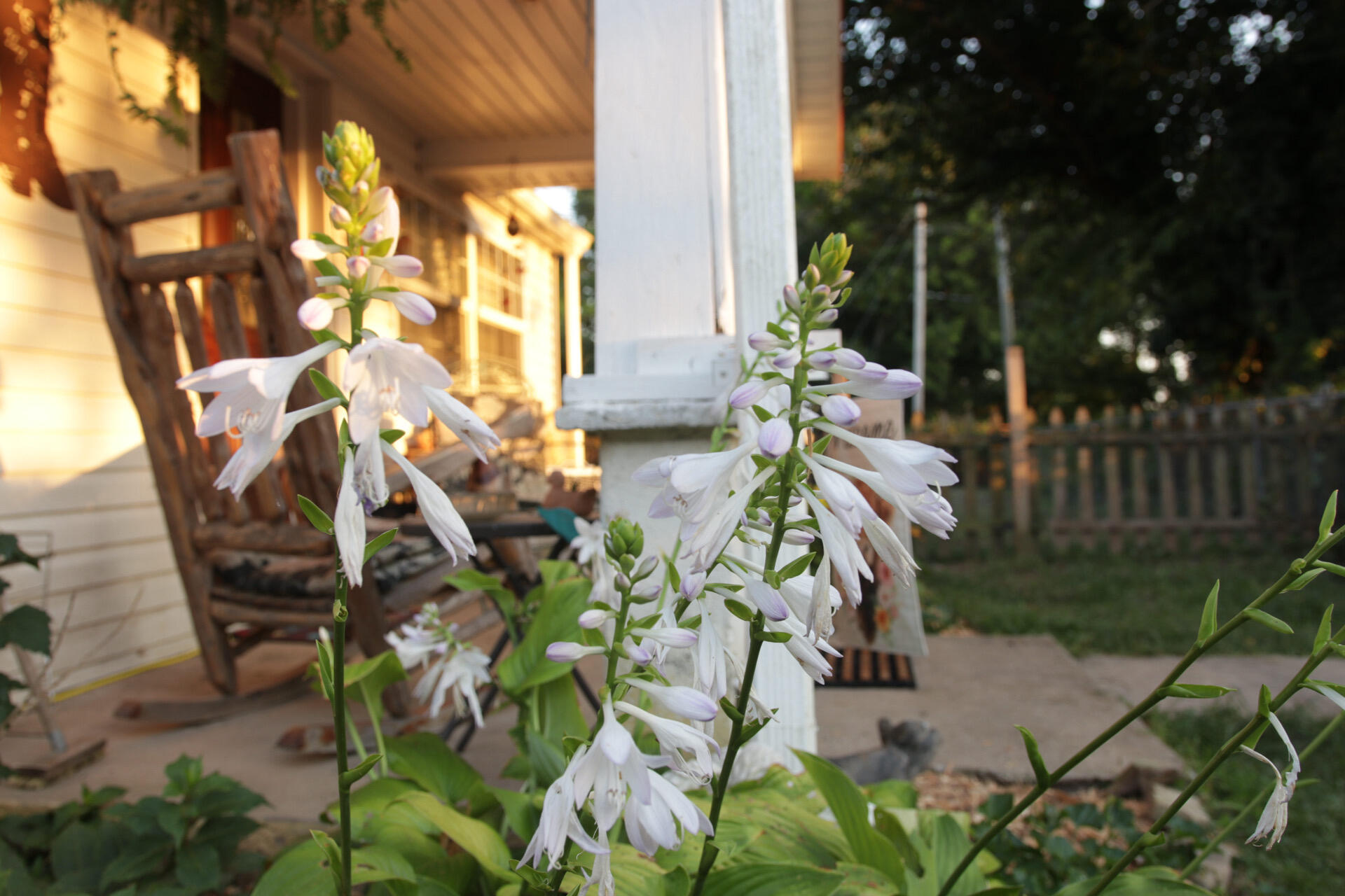 Photo 86 - Residential for sale – 418  Alma Street  Taneyville, MO