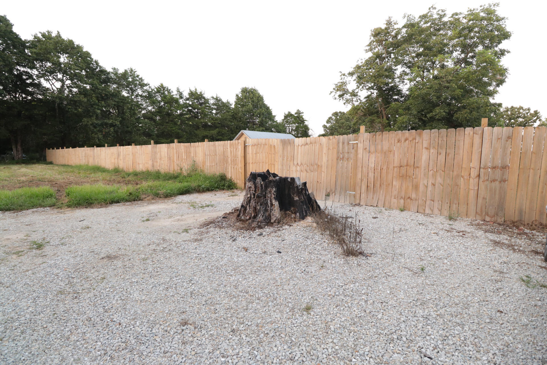 Photo 85 - Residential for sale – 418  Alma Street  Taneyville, MO