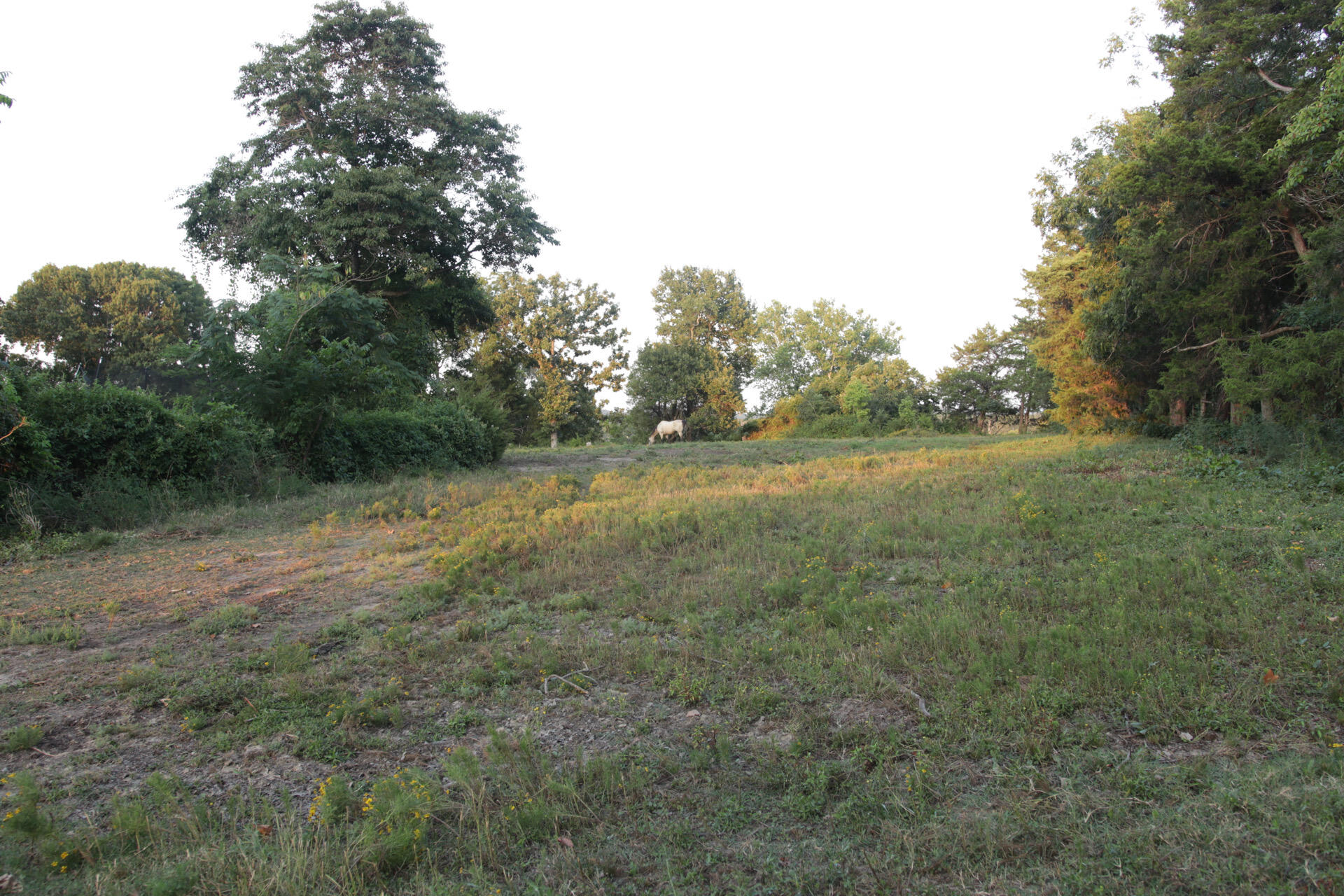 Photo 82 - Residential for sale – 418  Alma Street  Taneyville, MO