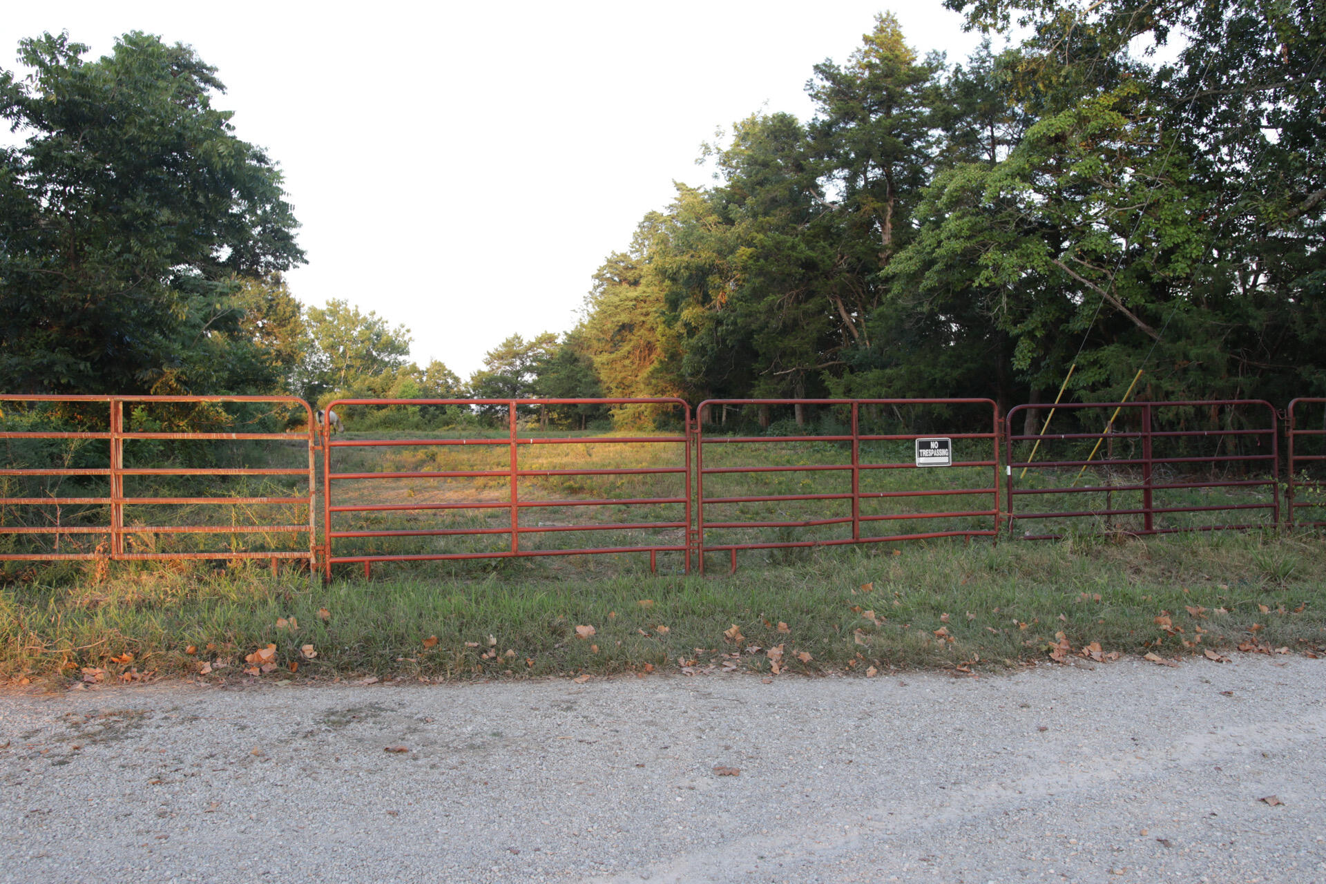 Photo 81 - Residential for sale – 418  Alma Street  Taneyville, MO