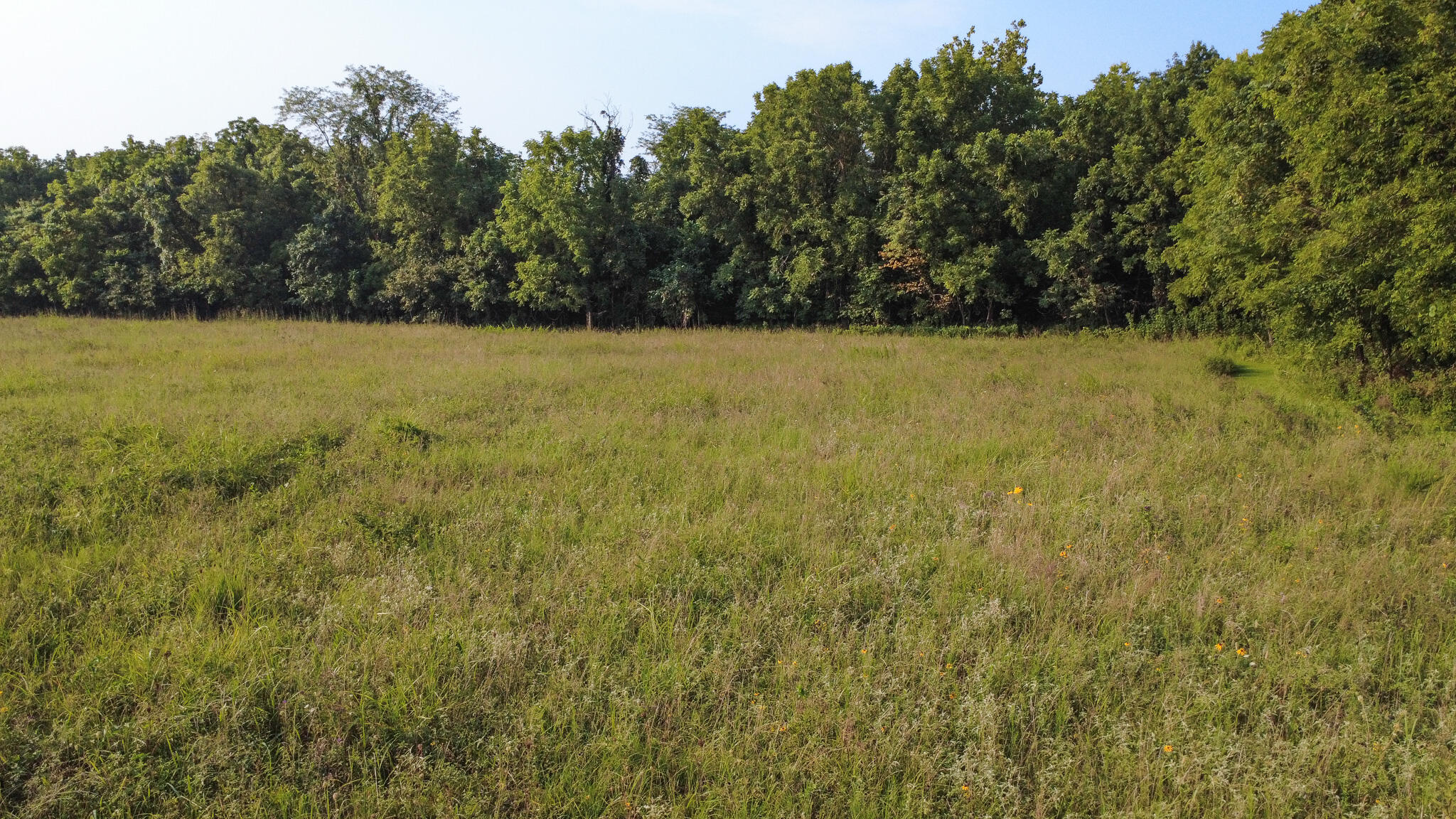 Photo 8 - Land for sale – 000 N Farm Rd 69   Walnut Grove, MO