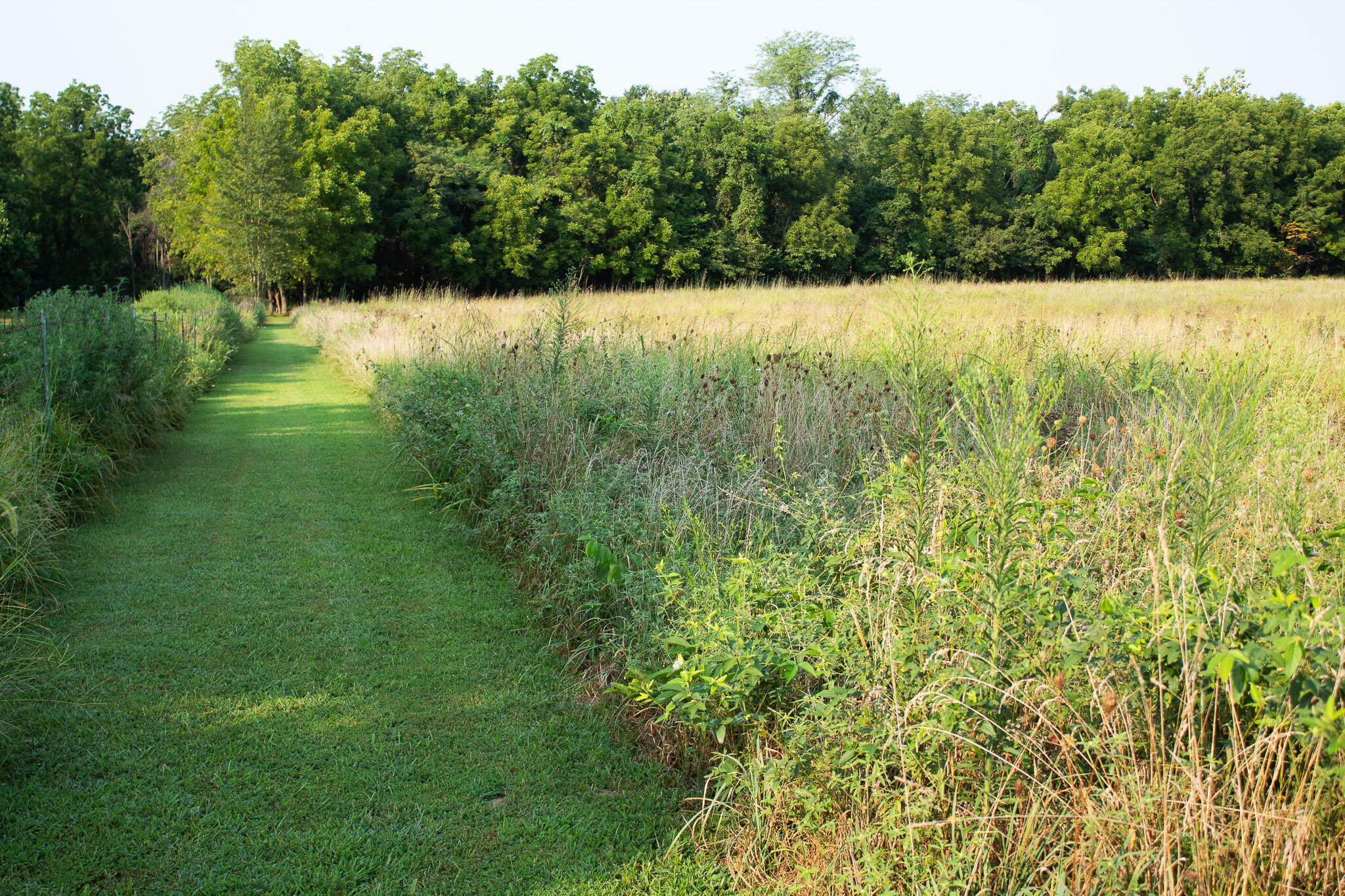 Photo 15 - Land for sale – 000 N Farm Rd 69   Walnut Grove, MO