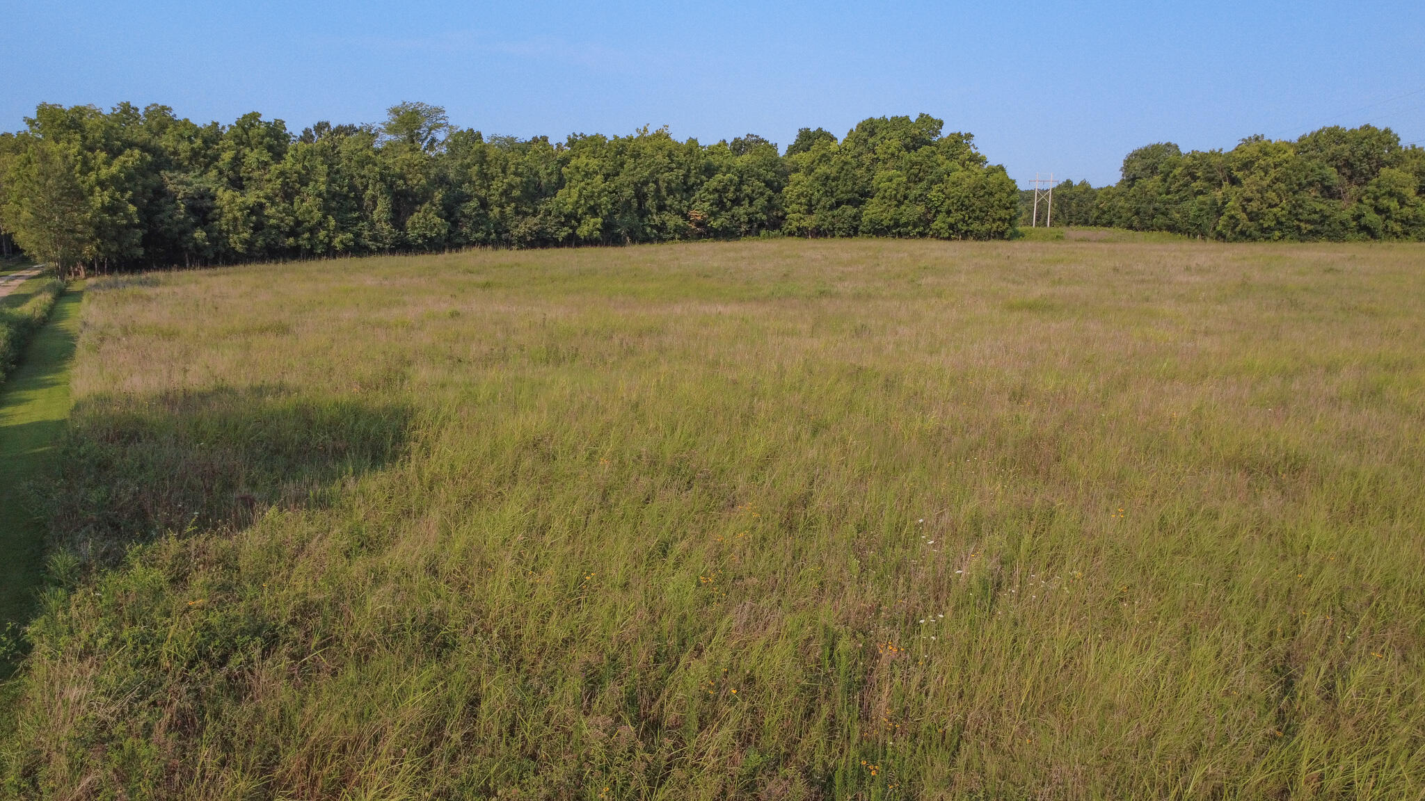 Photo 12 - Land for sale – 000 N Farm Rd 69   Walnut Grove, MO