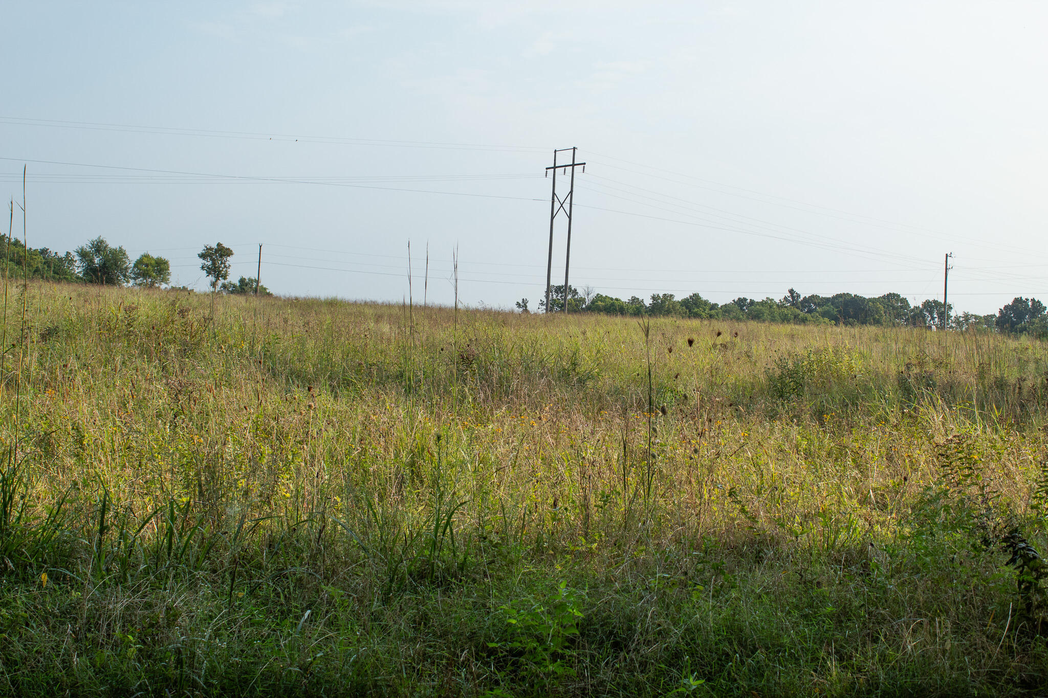 Photo 18 - Land for sale – 000 N Farm Rd 69   Walnut Grove, MO