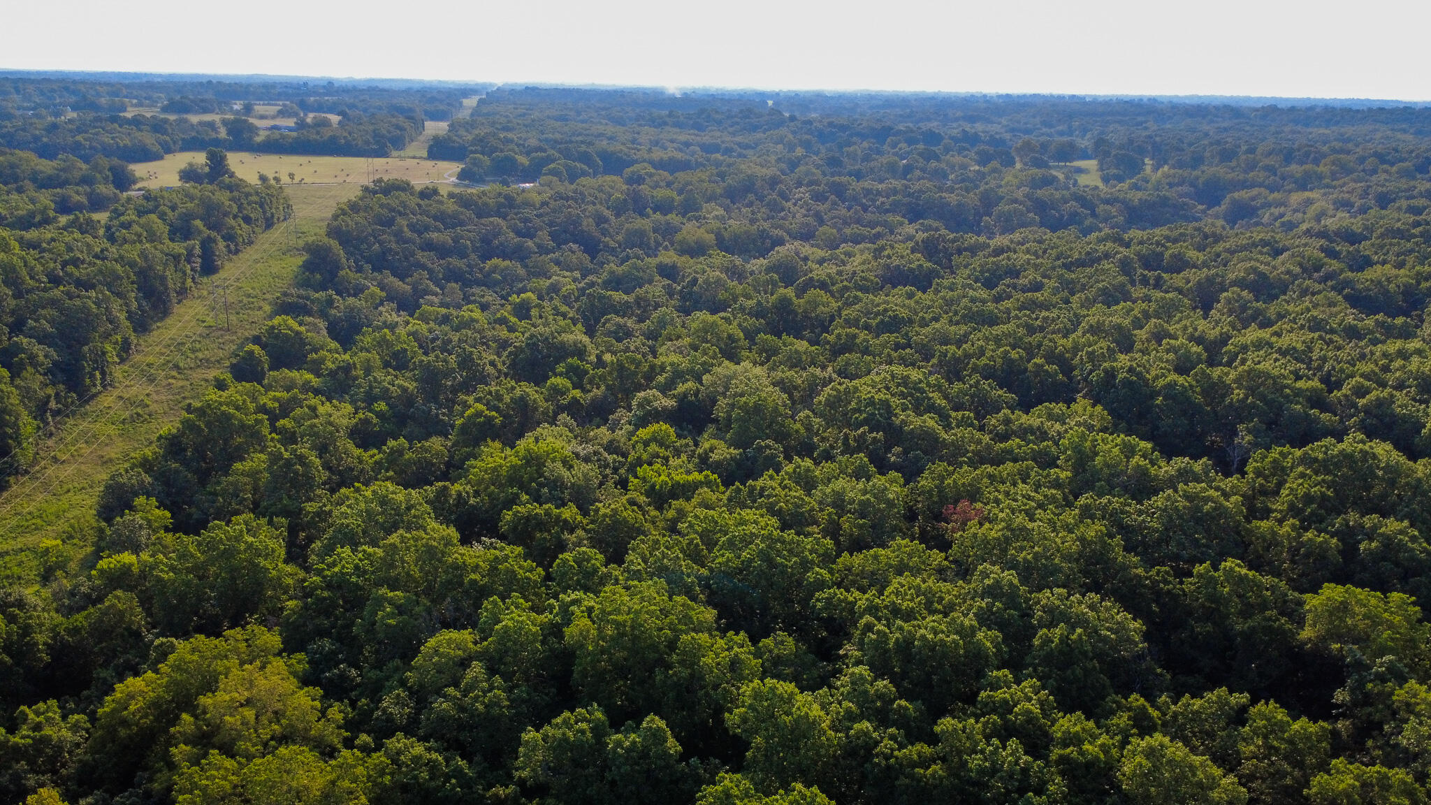 Land for sale – 000 N Farm Rd 69   Walnut Grove, MO