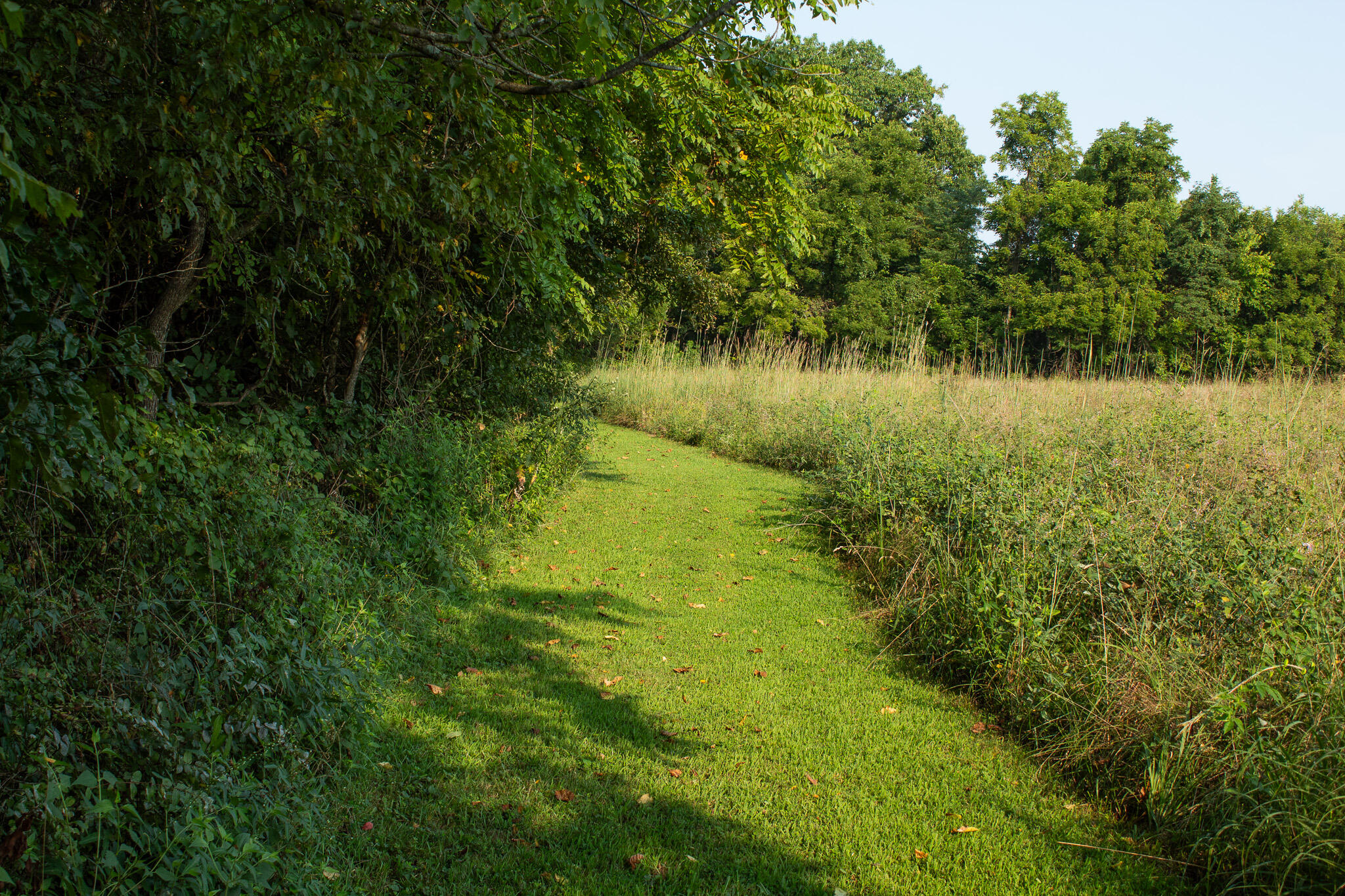 Photo 19 - Land for sale – 000 N Farm Rd 69   Walnut Grove, MO