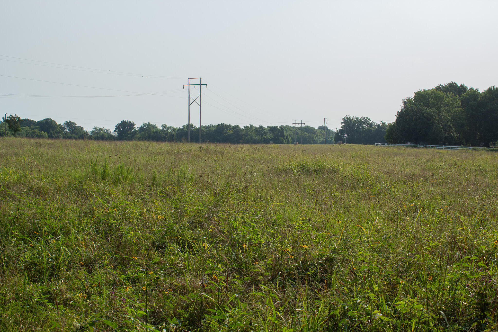 Photo 20 - Land for sale – 000 N Farm Rd 69   Walnut Grove, MO