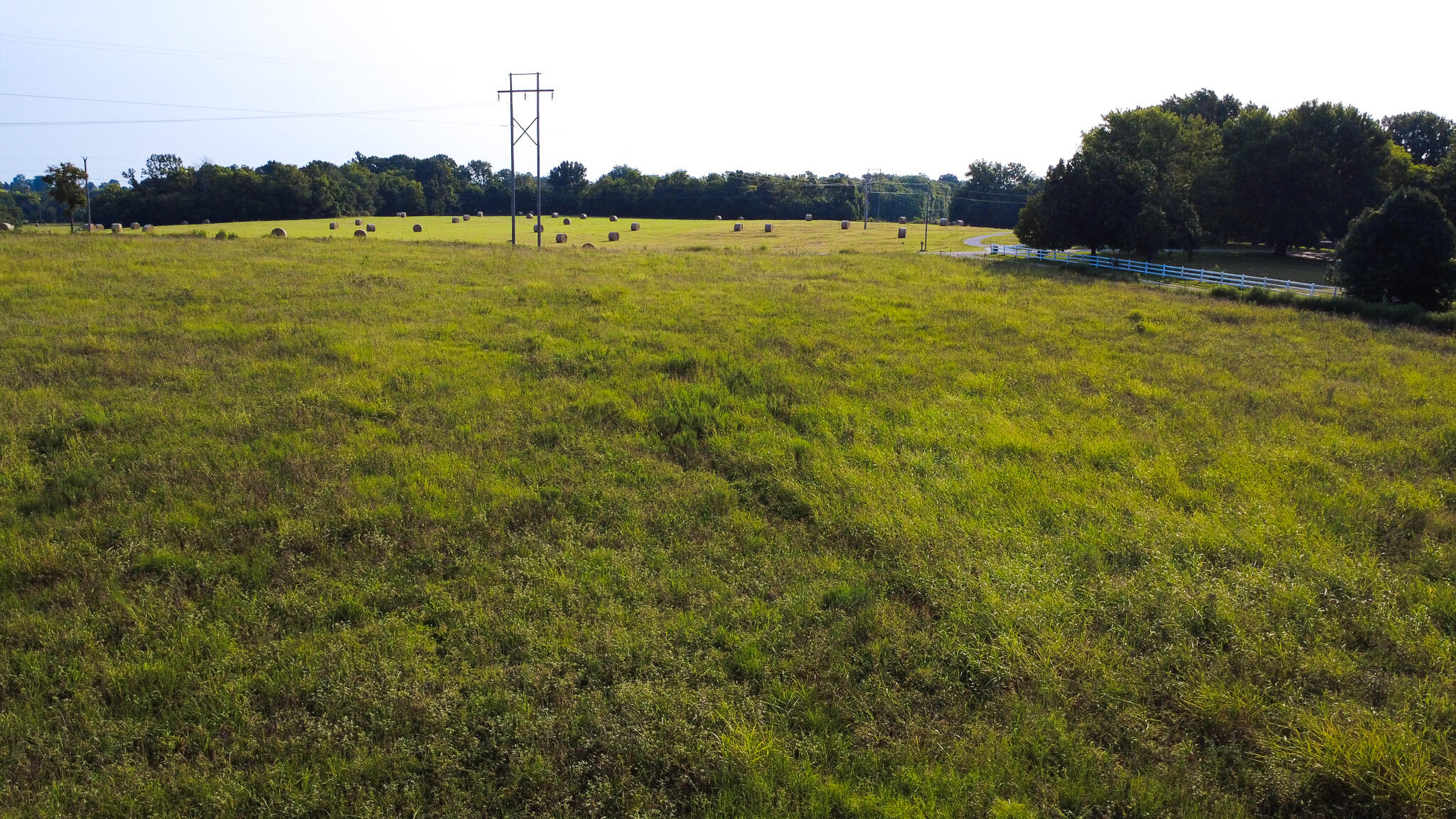 Photo 11 - Land for sale – 000 N Farm Rd 69   Walnut Grove, MO