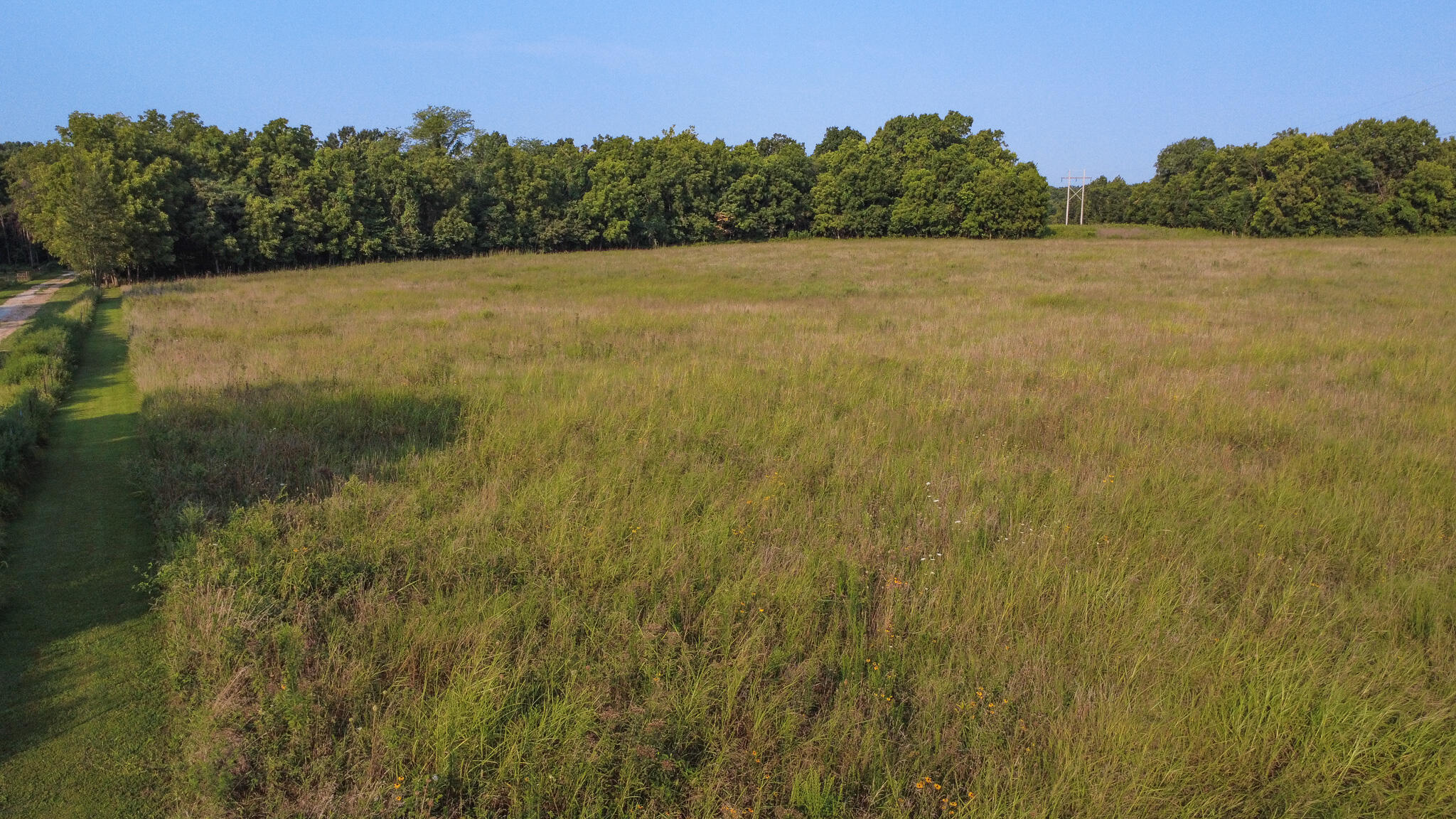 Photo 13 - Land for sale – 000 N Farm Rd 69   Walnut Grove, MO