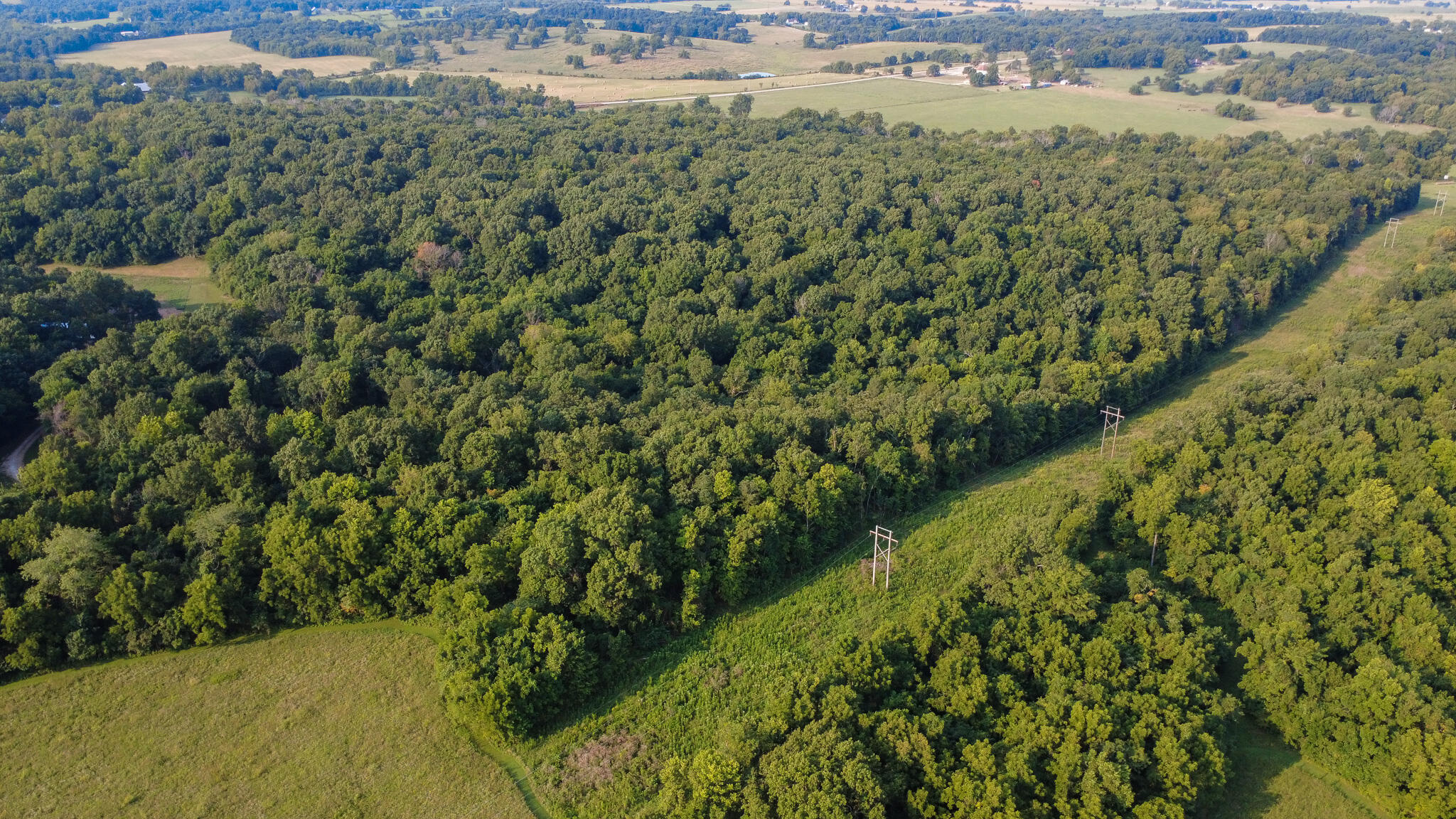Photo 4 - Land for sale – 000 N Farm Rd 69   Walnut Grove, MO