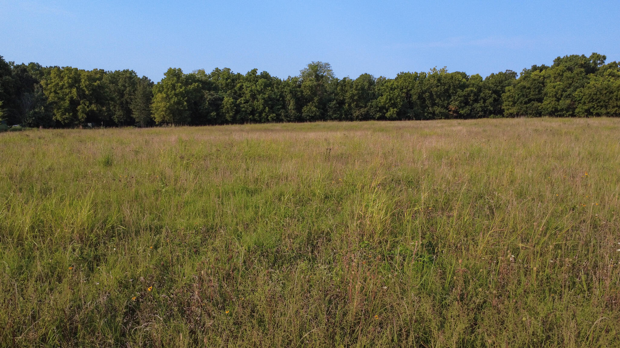 Photo 7 - Land for sale – 000 N Farm Rd 69   Walnut Grove, MO