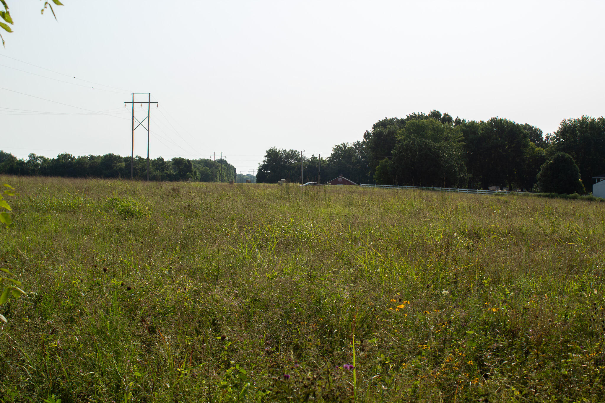 Photo 32 - Land for sale – 000 N Farm Rd 69   Walnut Grove, MO