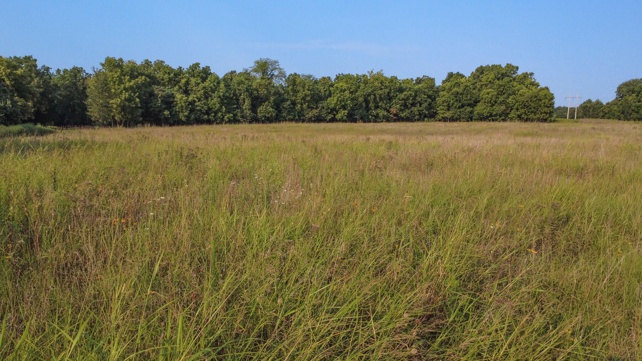 Photo 5 - Land for sale – 000 N Farm Rd 69   Walnut Grove, MO