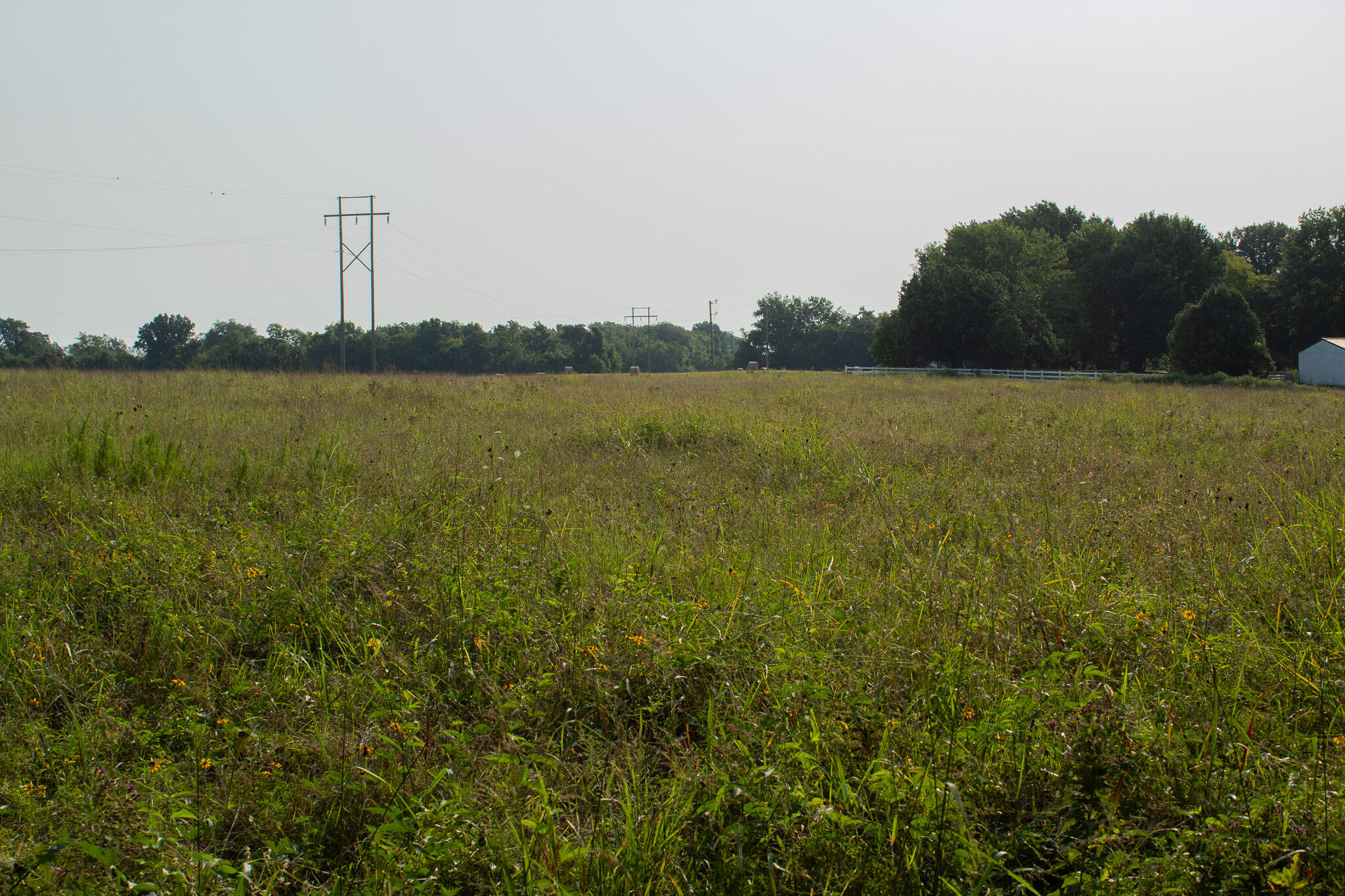 Photo 21 - Land for sale – 000 N Farm Rd 69   Walnut Grove, MO