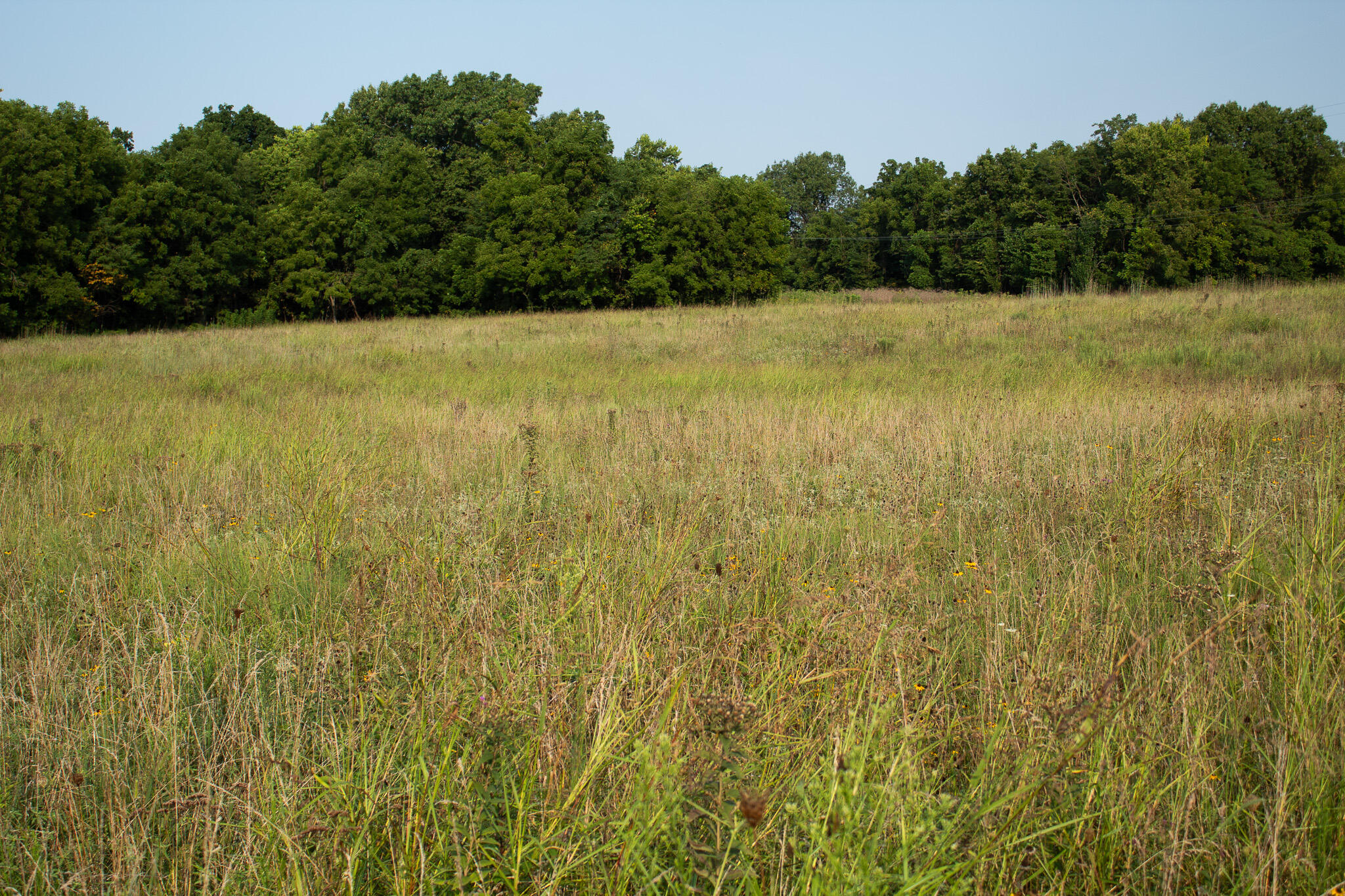 Photo 16 - Land for sale – 000 N Farm Rd 69   Walnut Grove, MO