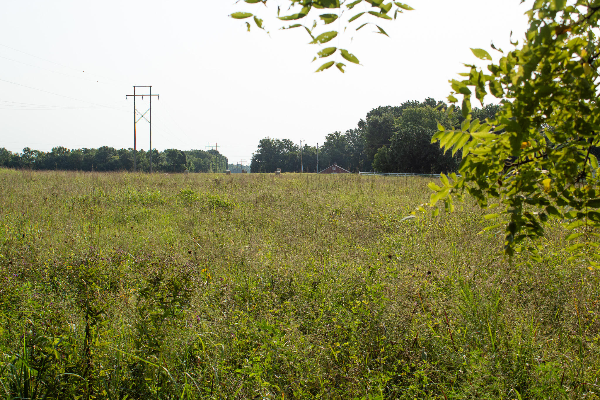 Photo 31 - Land for sale – 000 N Farm Rd 69   Walnut Grove, MO