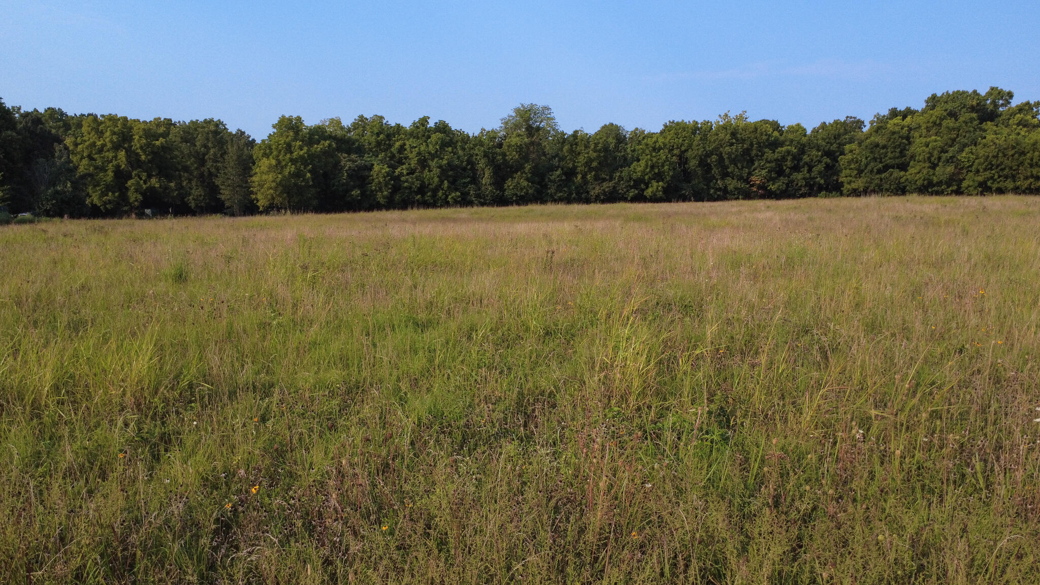 Photo 6 - Land for sale – 000 N Farm Rd 69   Walnut Grove, MO