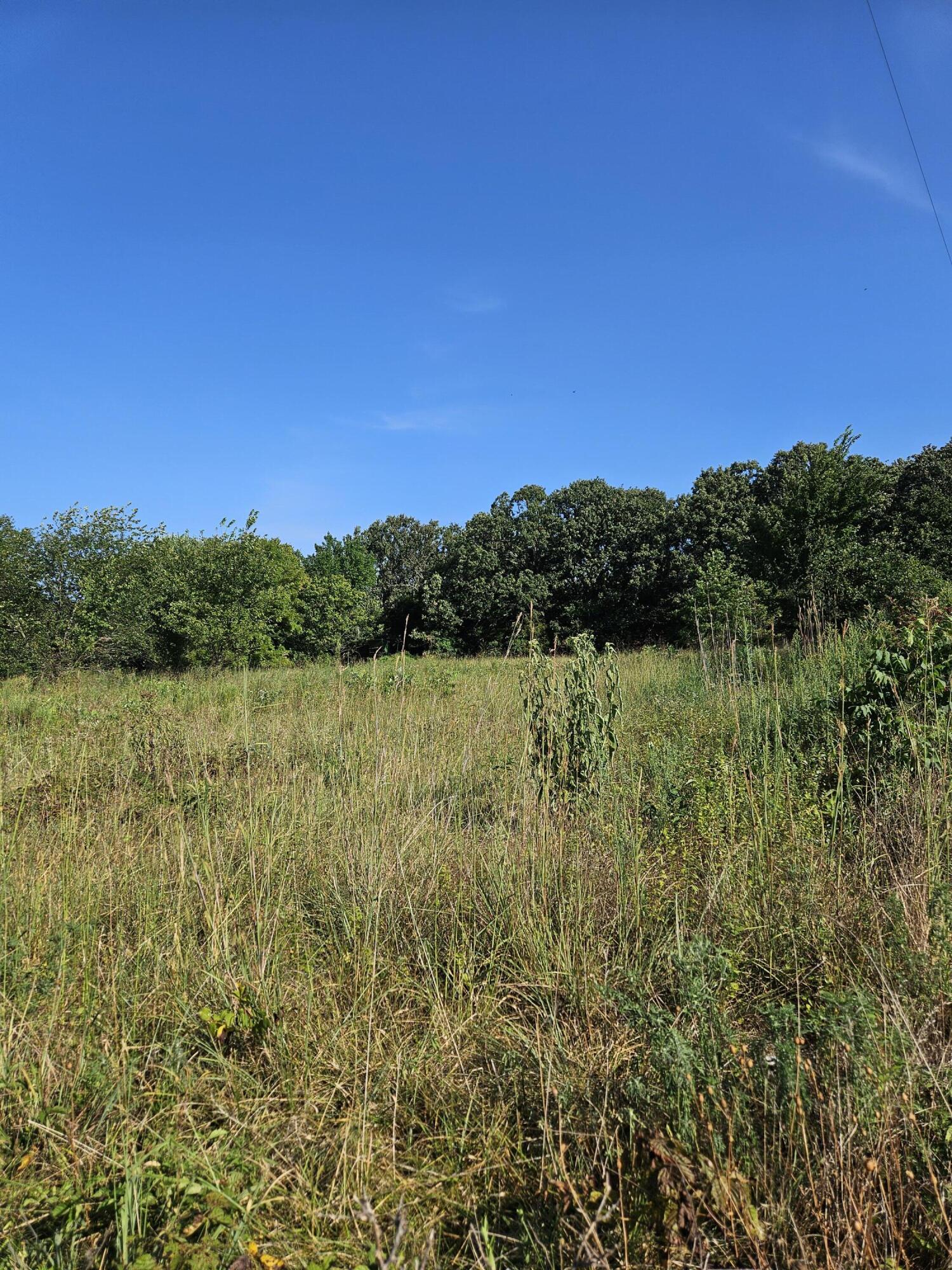 Photo 2 - Land for sale – 000  Lawrence 1040   Pierce City, MO