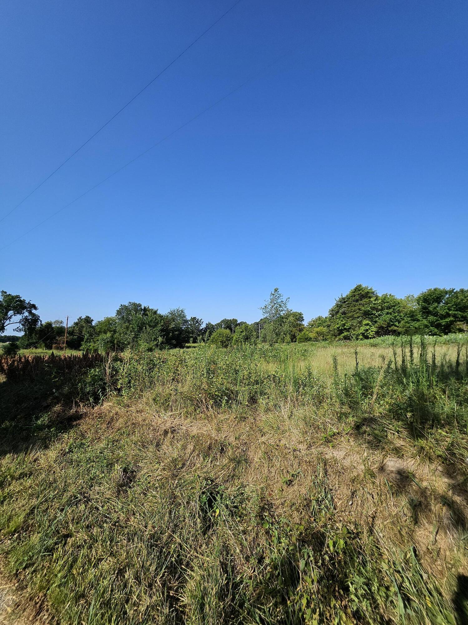 Photo 4 - Land for sale – 000  Lawrence 1040   Pierce City, MO