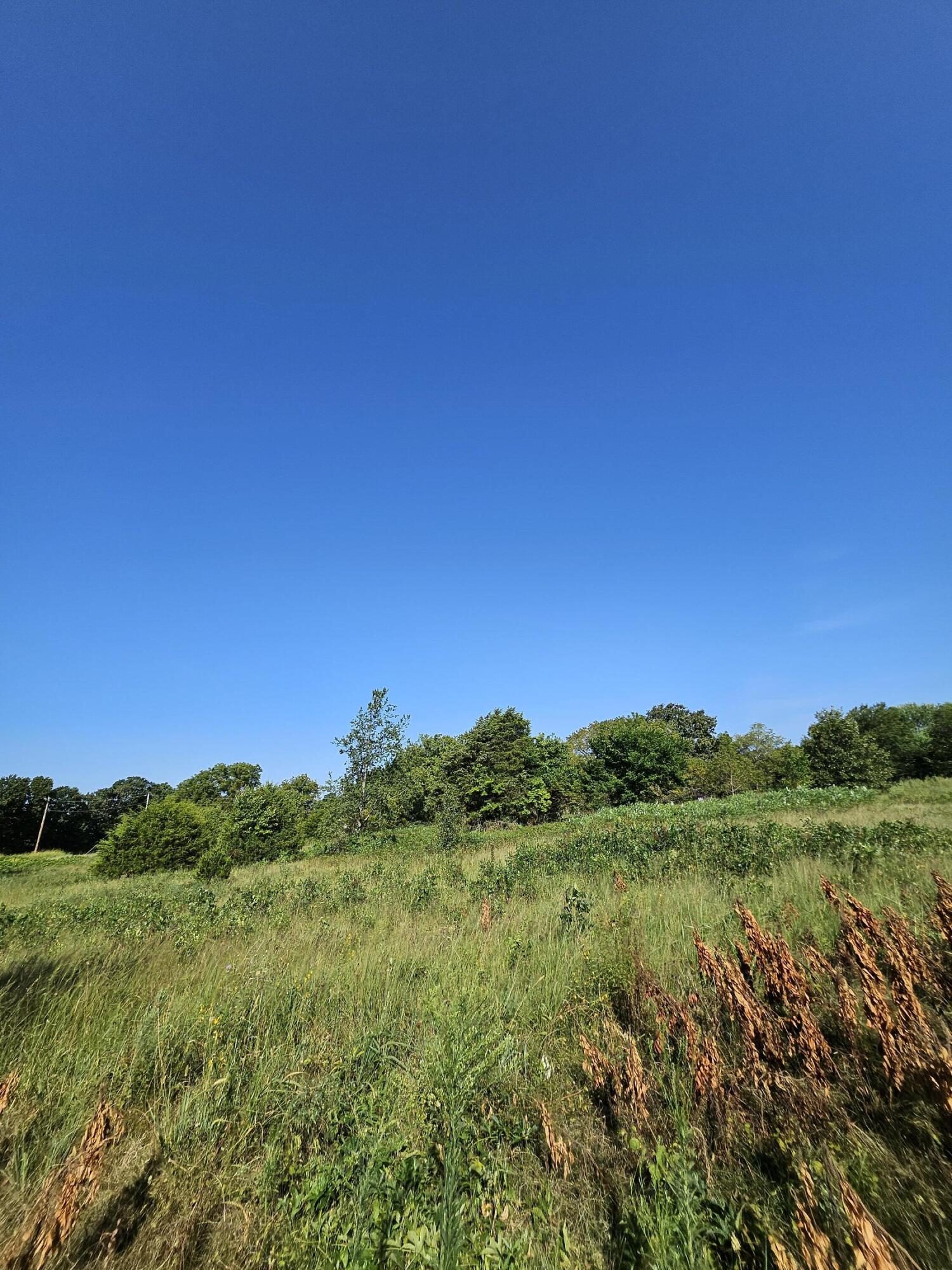 Photo 5 - Land for sale – 000  Lawrence 1040   Pierce City, MO
