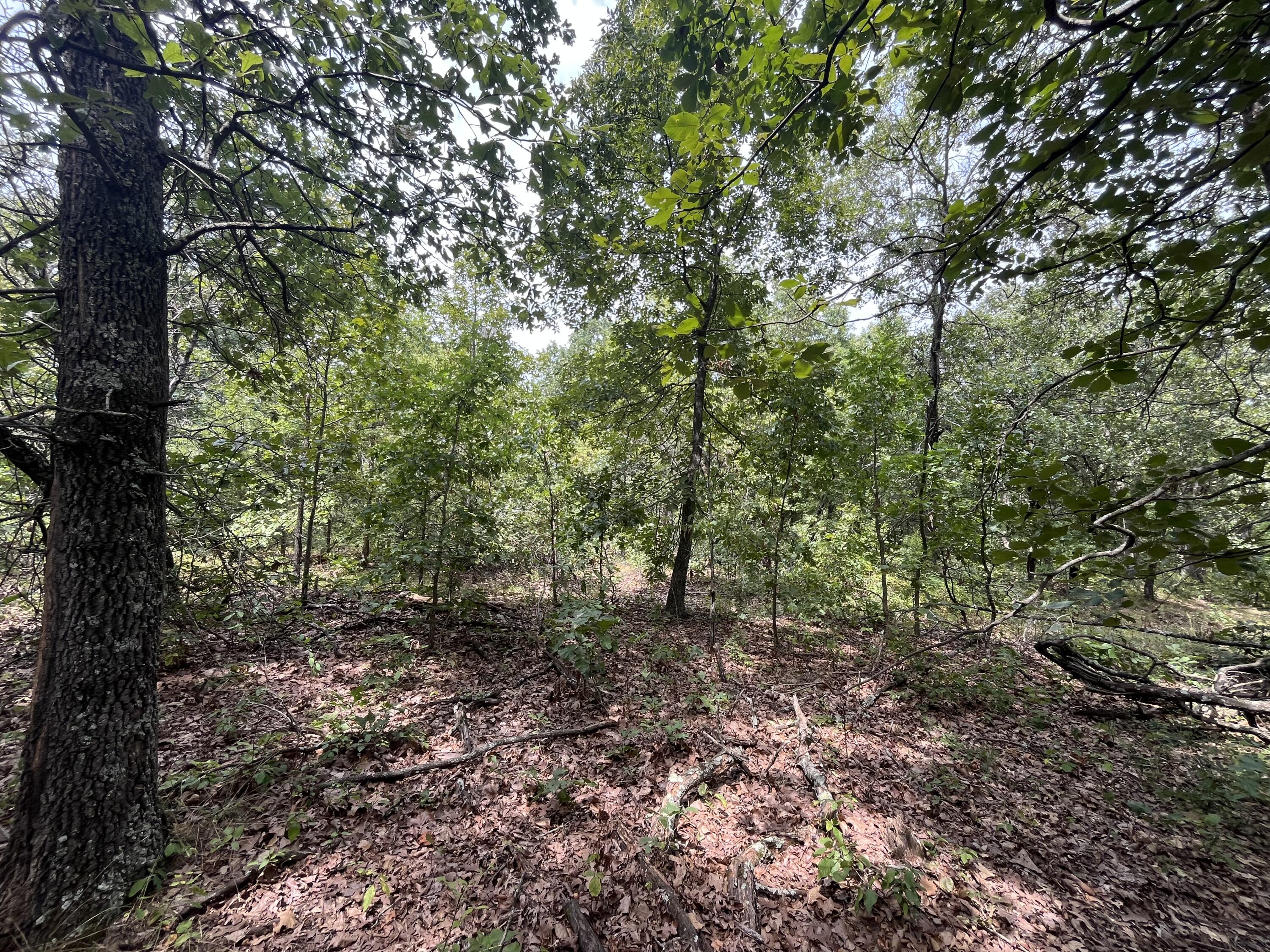 Photo 17 - Land for sale – 1  Partridge Drive  Climax Springs, MO