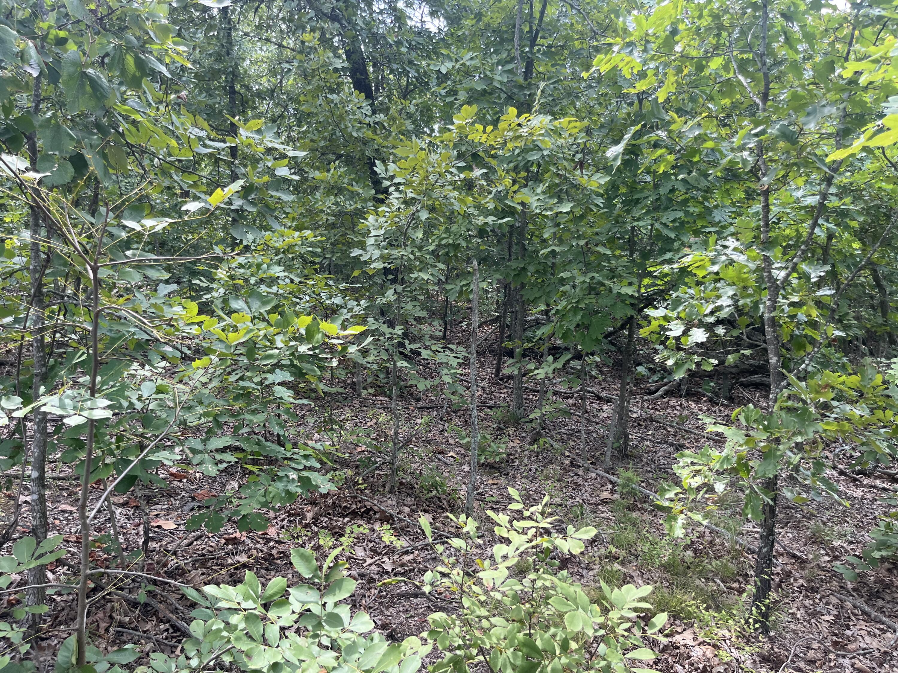 Photo 29 - Land for sale – 1  Partridge Drive  Climax Springs, MO