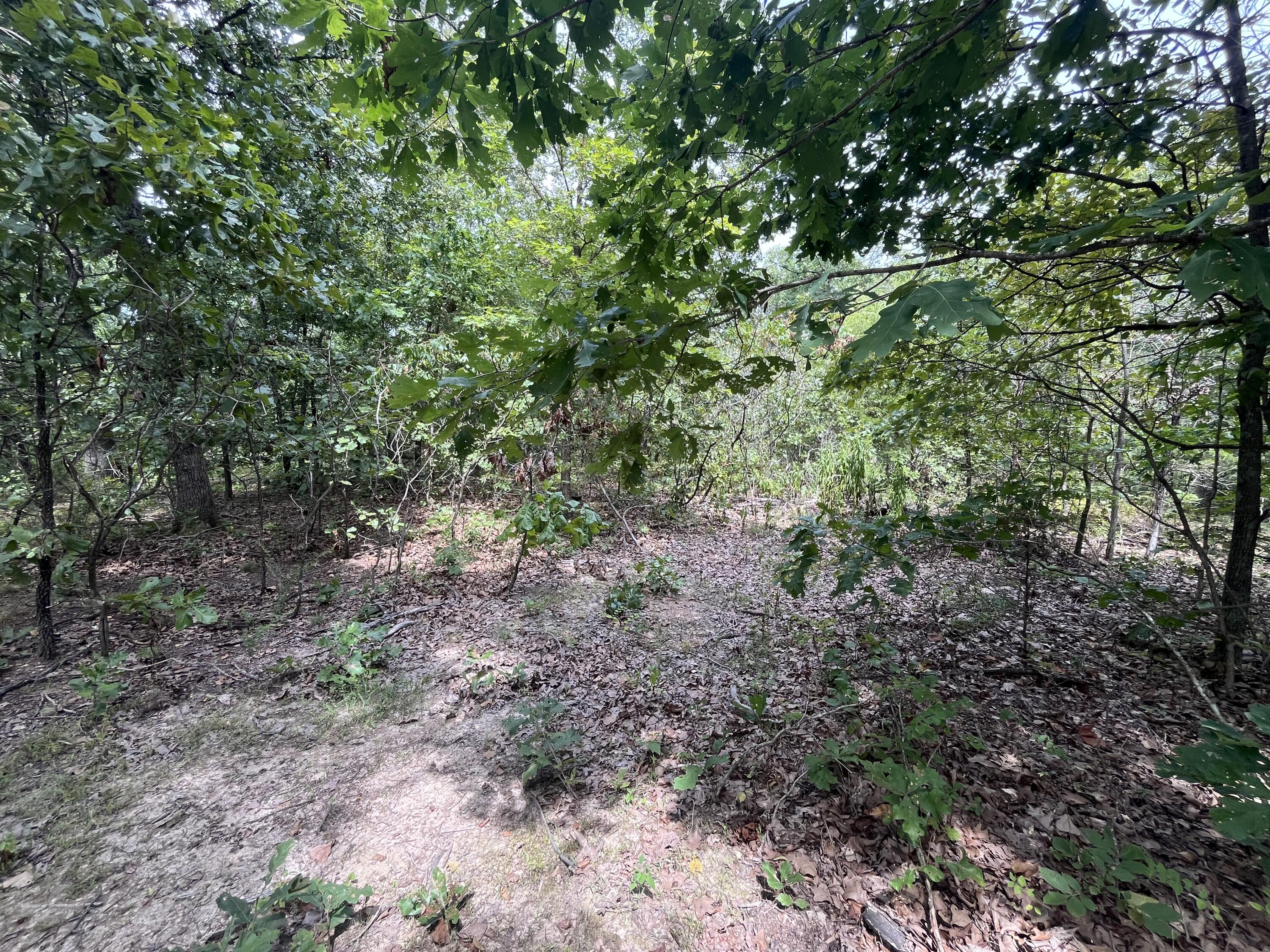 Photo 18 - Land for sale – 1  Partridge Drive  Climax Springs, MO