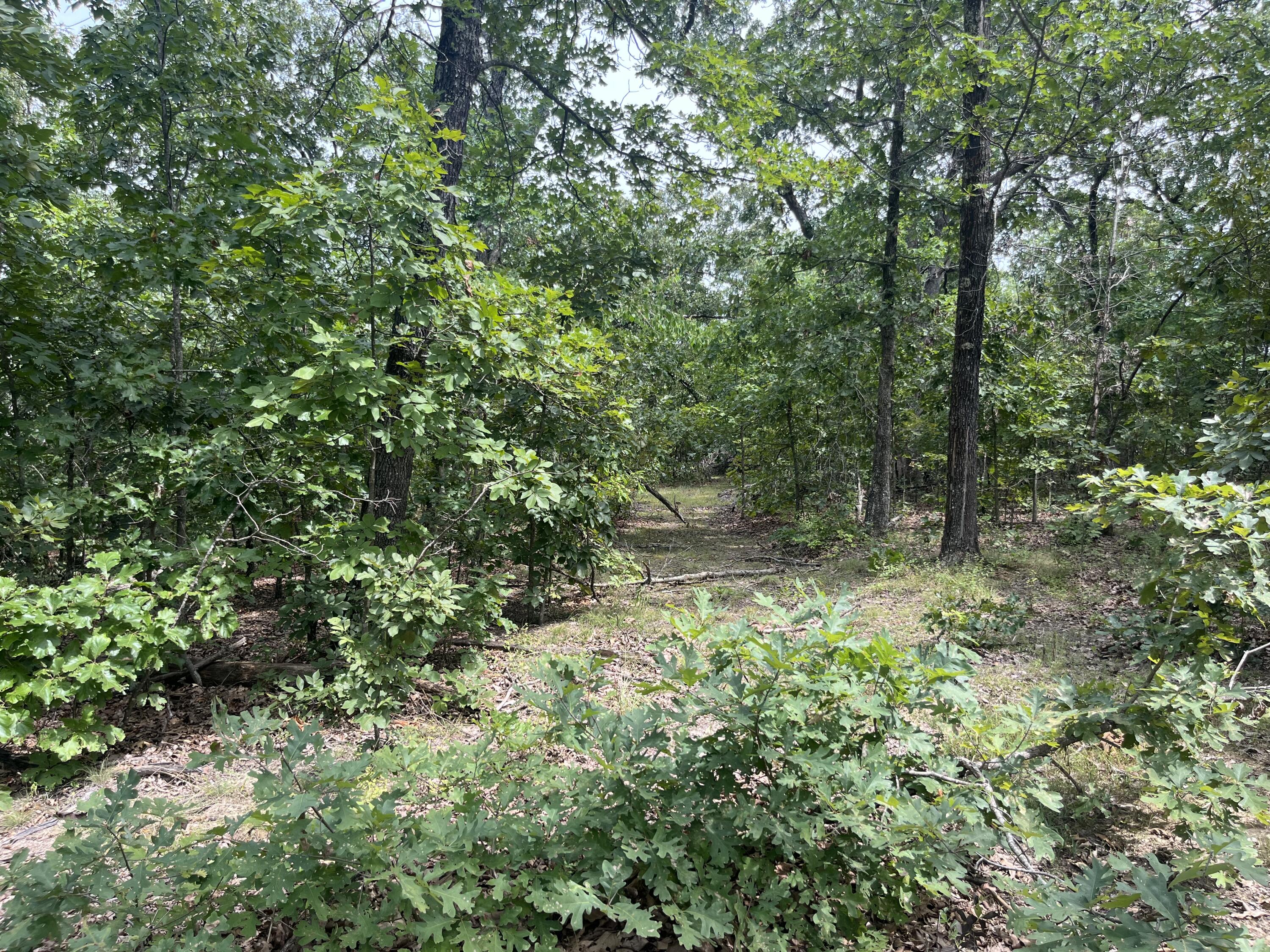 Photo 25 - Land for sale – 1  Partridge Drive  Climax Springs, MO