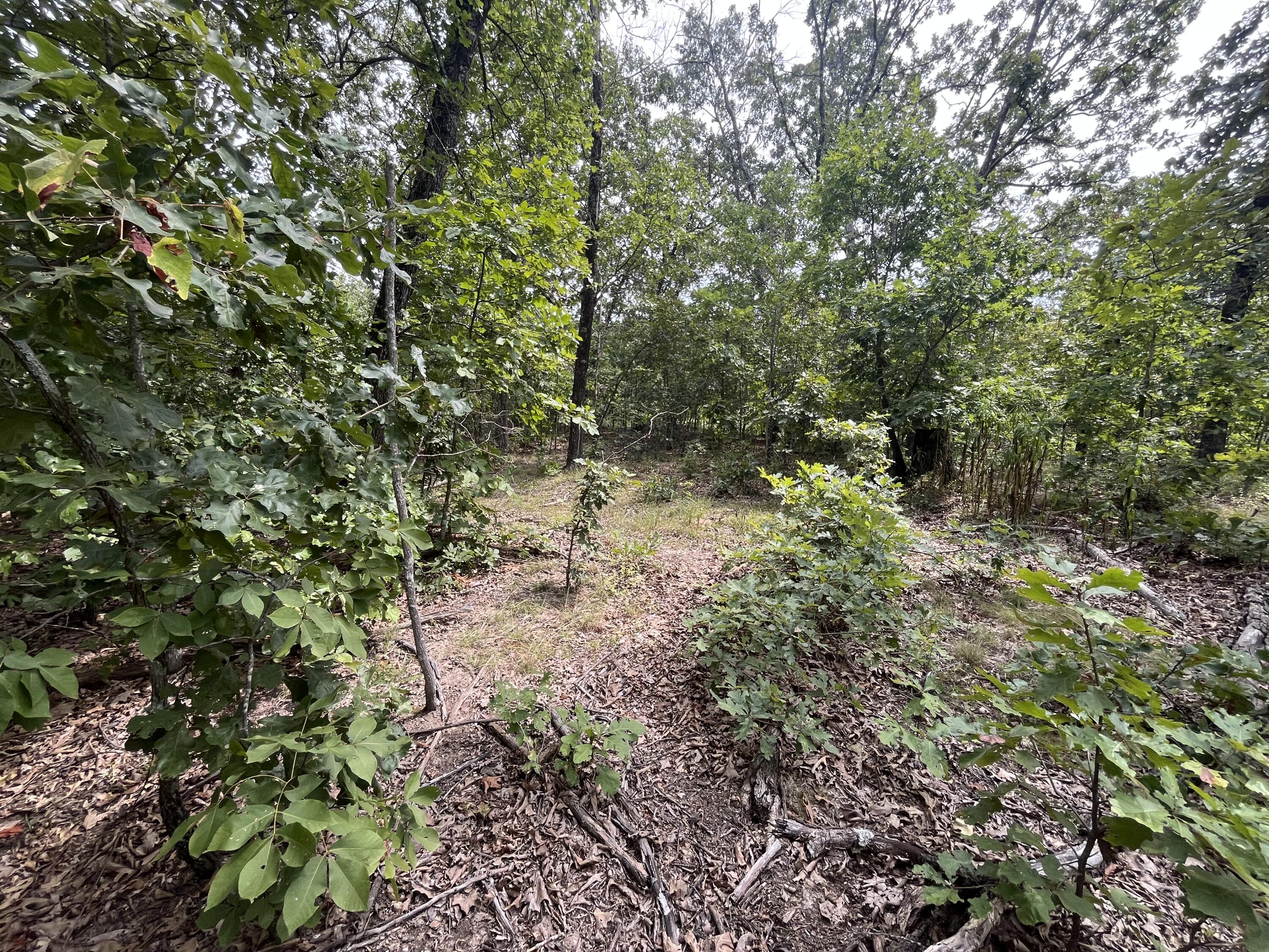 Photo 24 - Land for sale – 1  Partridge Drive  Climax Springs, MO